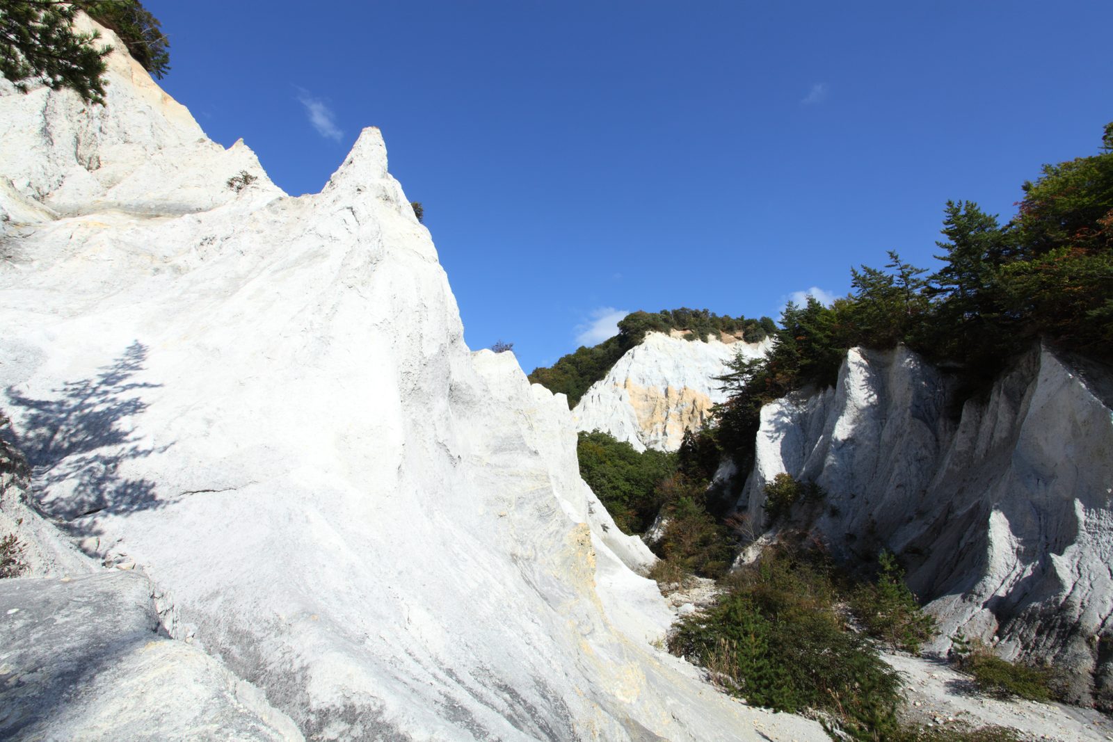 White, eroded cliffs and jagged ridges of pale rock against a blue sky, with green trees on the slopes.