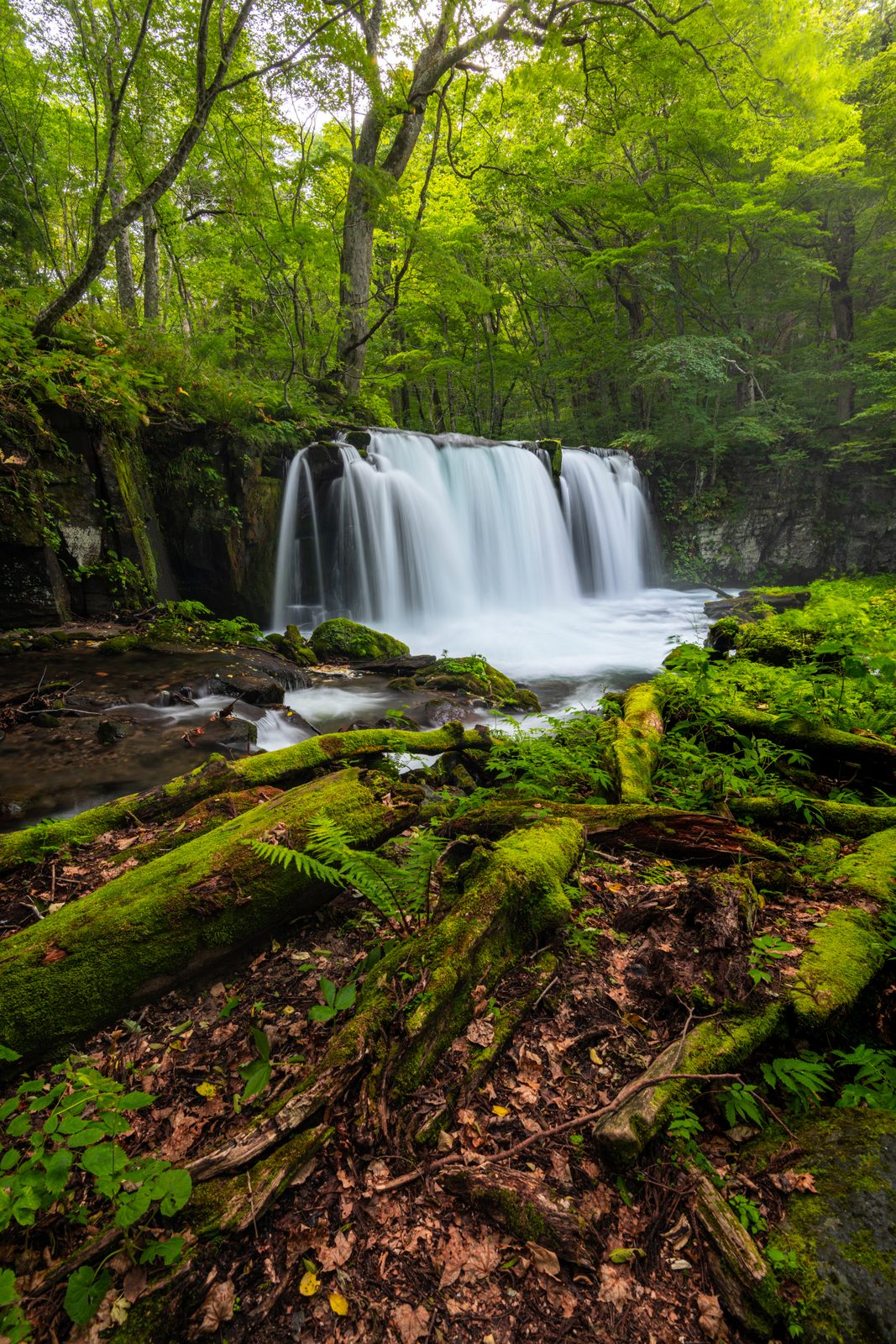 A wide curtain waterfall drops into a rocky pool along the Oirase Gorge trail, framed by moss-covered cliffs and summer greenery.