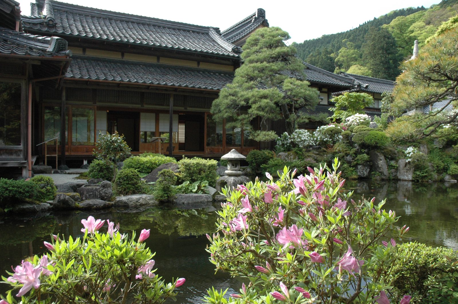 Pond garden at the Ishitani residence in Chizu, with pink azaleas in front of the main house