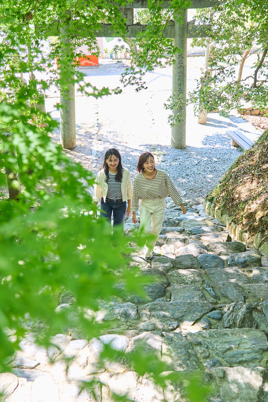 Two women climb a stone staircase beneath a stone torii gate toward a gravel courtyard, seen through overhanging fresh green maple branches.