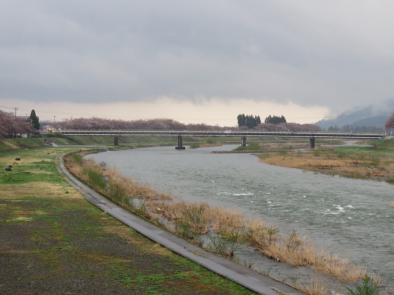 The Hinokinai River curves past a grassy embankment, with flowering cherry trees along the far bank under grey cloud.