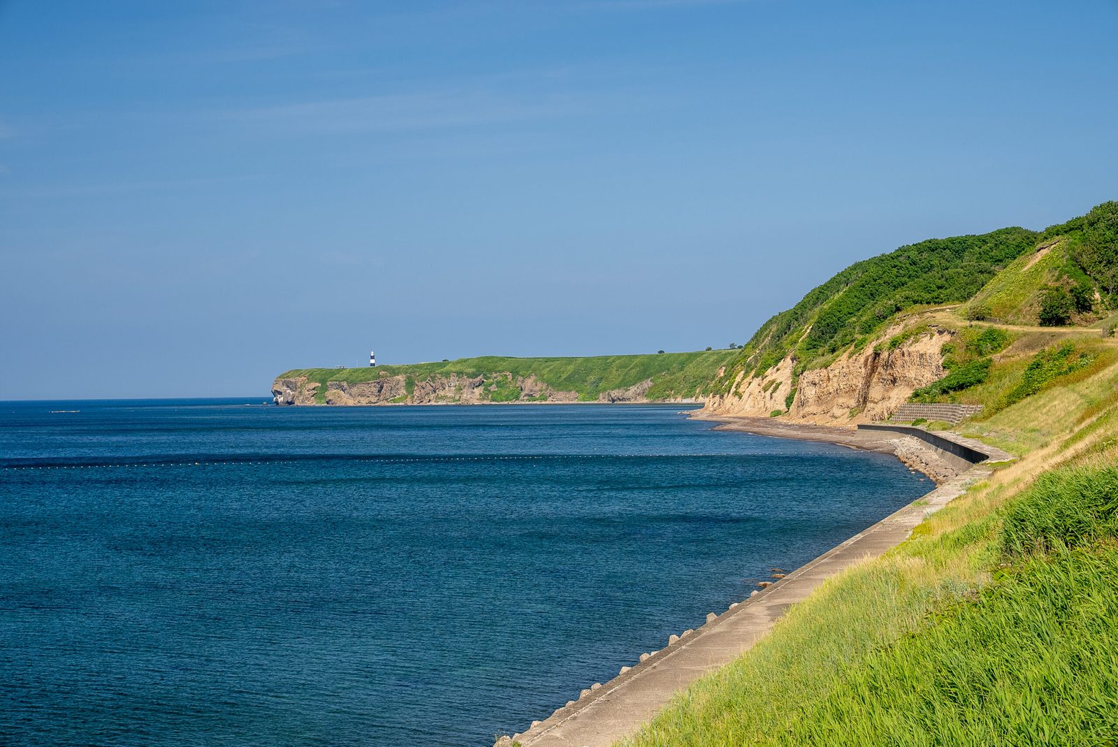 Green headland and shoreline meeting the sea