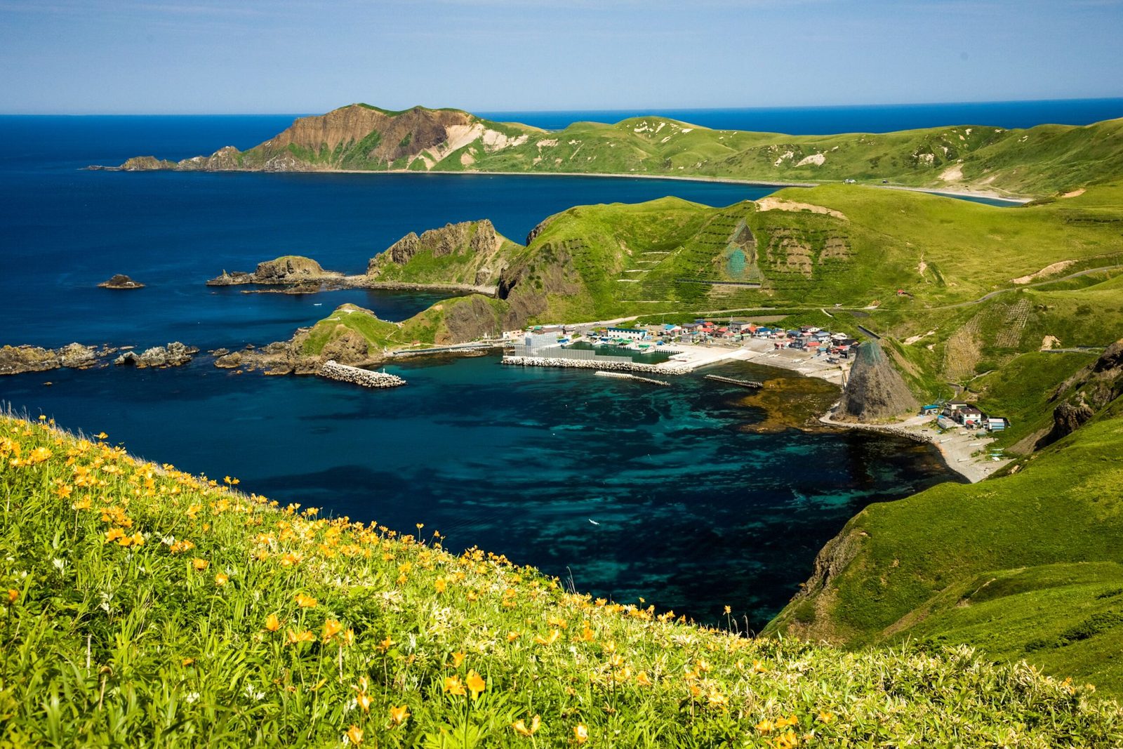 Aerial-style view of a turquoise cove with a small fishing village, rocky headlands and a grassy slope dotted with yellow wildflowers on Rebun Island under a blue sky