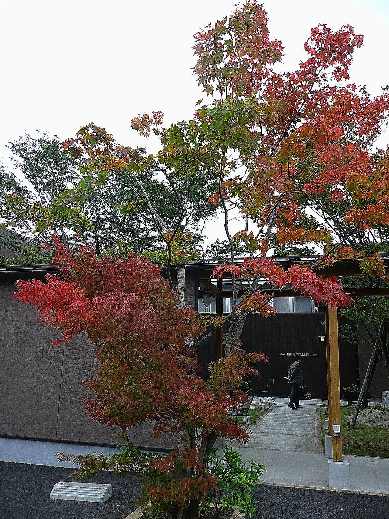 Maples turning red over the entrance path of a garden in the Iizaka Onsen area