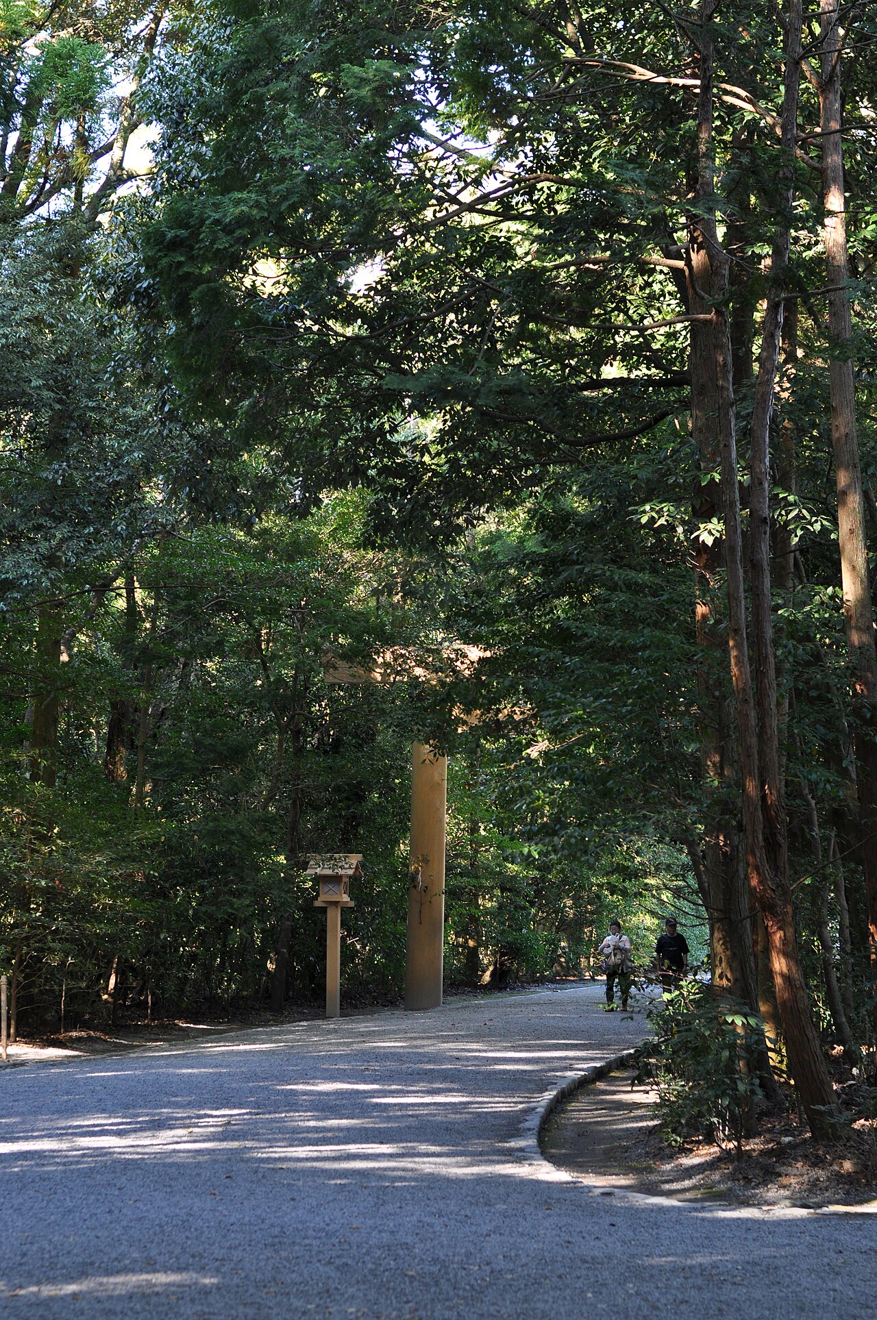 A gravel approach path leading through tall trees toward a wooden torii at the Outer Shrine of Ise