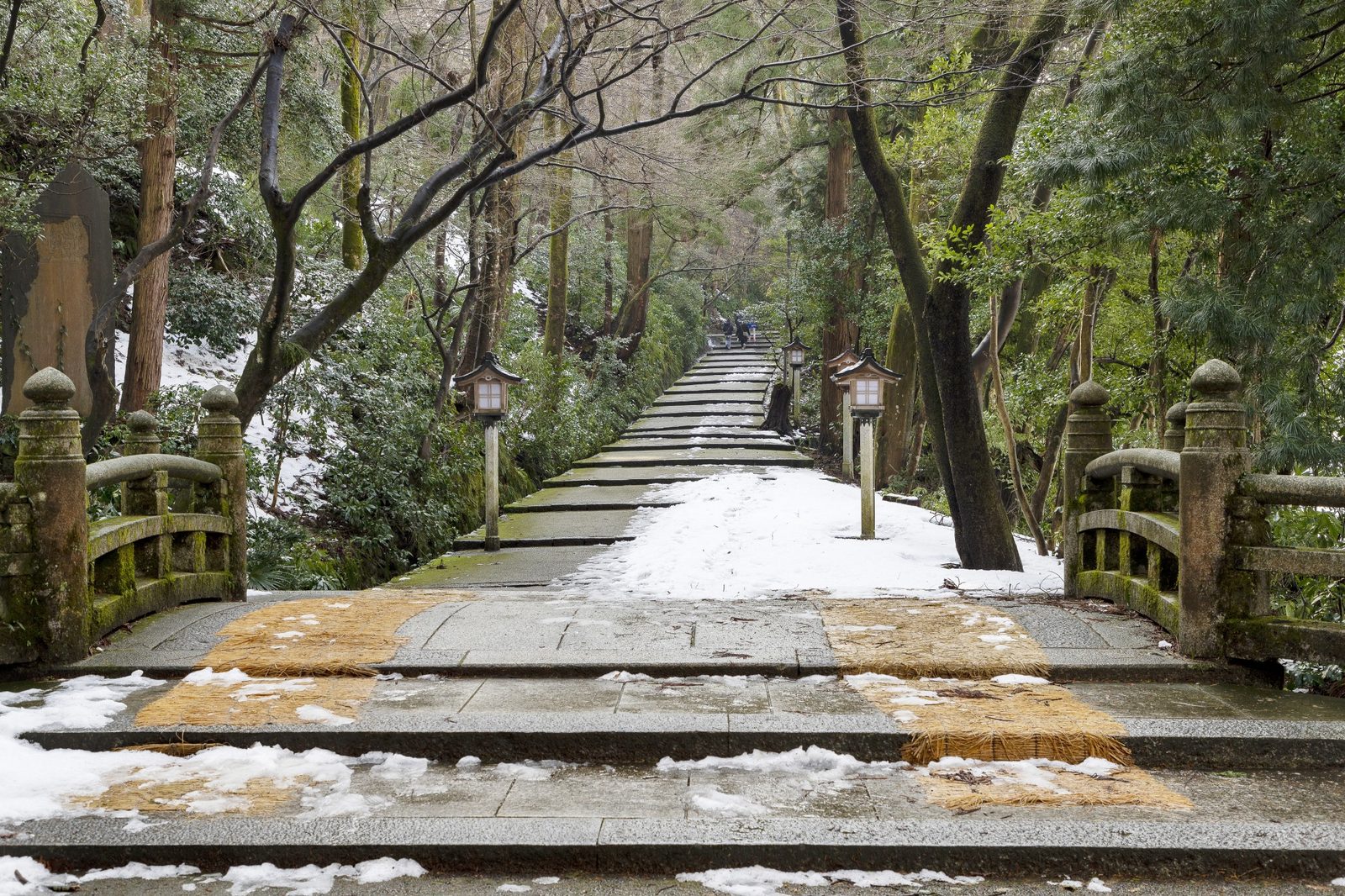 A stone footbridge with mossy balustrades and straw matting laid over its steps, leading to a long stone stairway that climbs through the cedar forest beyond.