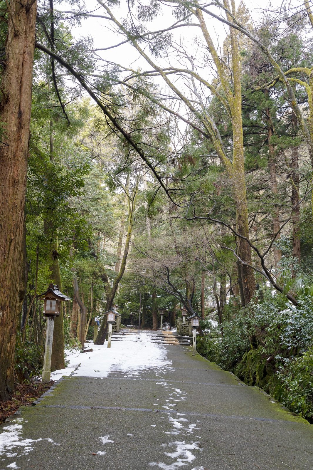 A snow-covered stone path leads uphill through a cedar grove toward a stone stairway and gate, flanked by paired wooden lanterns on stone posts.
