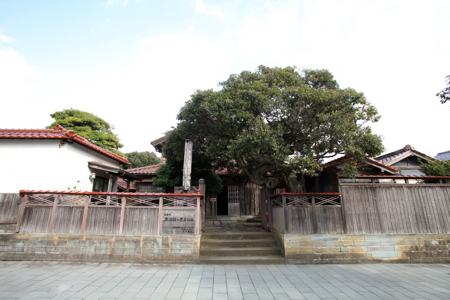 A wooden fence, stone steps and a broad pine in front of the Kitamaebune no Sato Museum in Hashitate