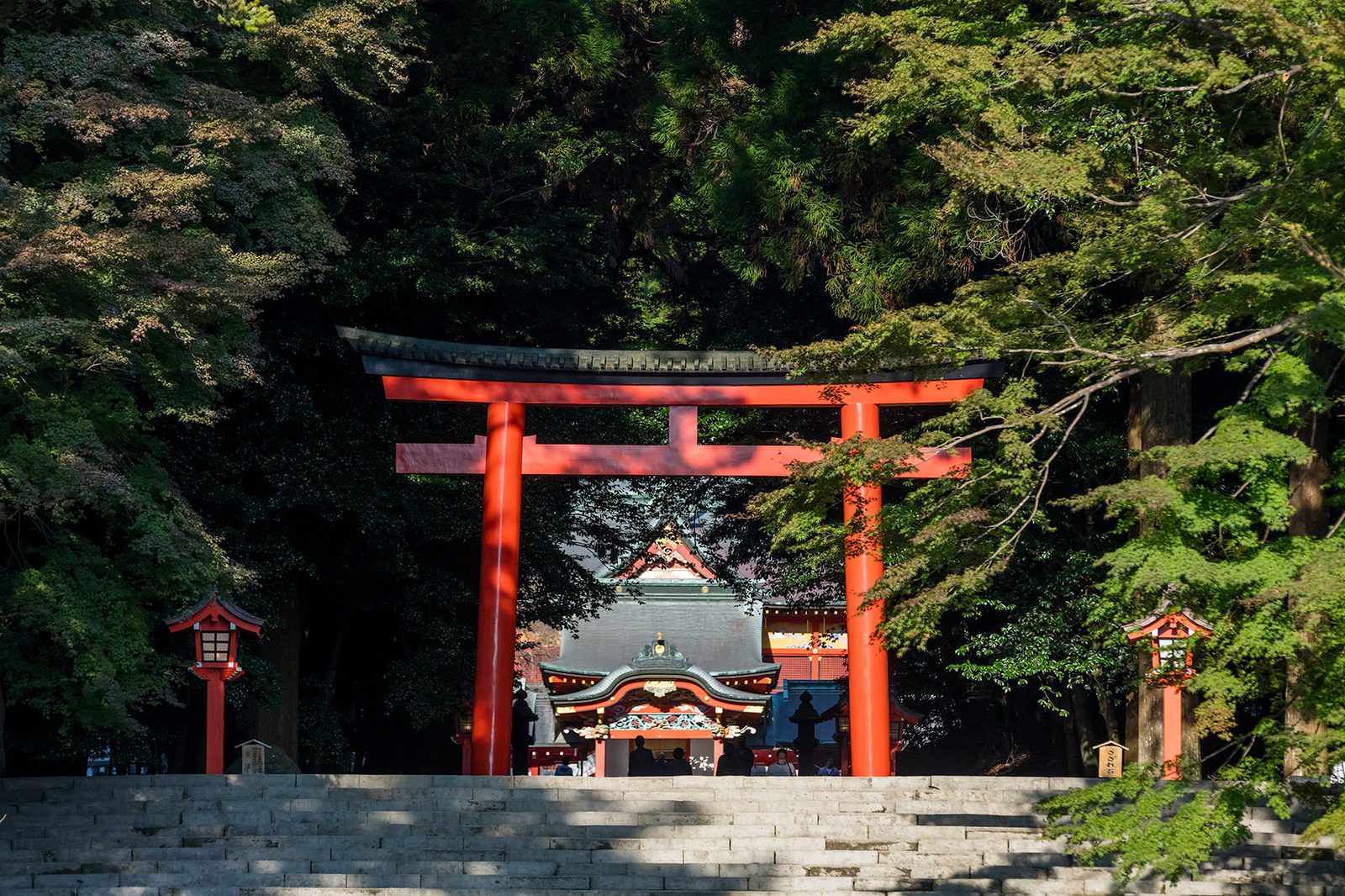 A red torii gate at the top of stone steps in a shaded forest, with the roofed shrine gate of Kirishima Jingu visible through it and a few visitors standing near.