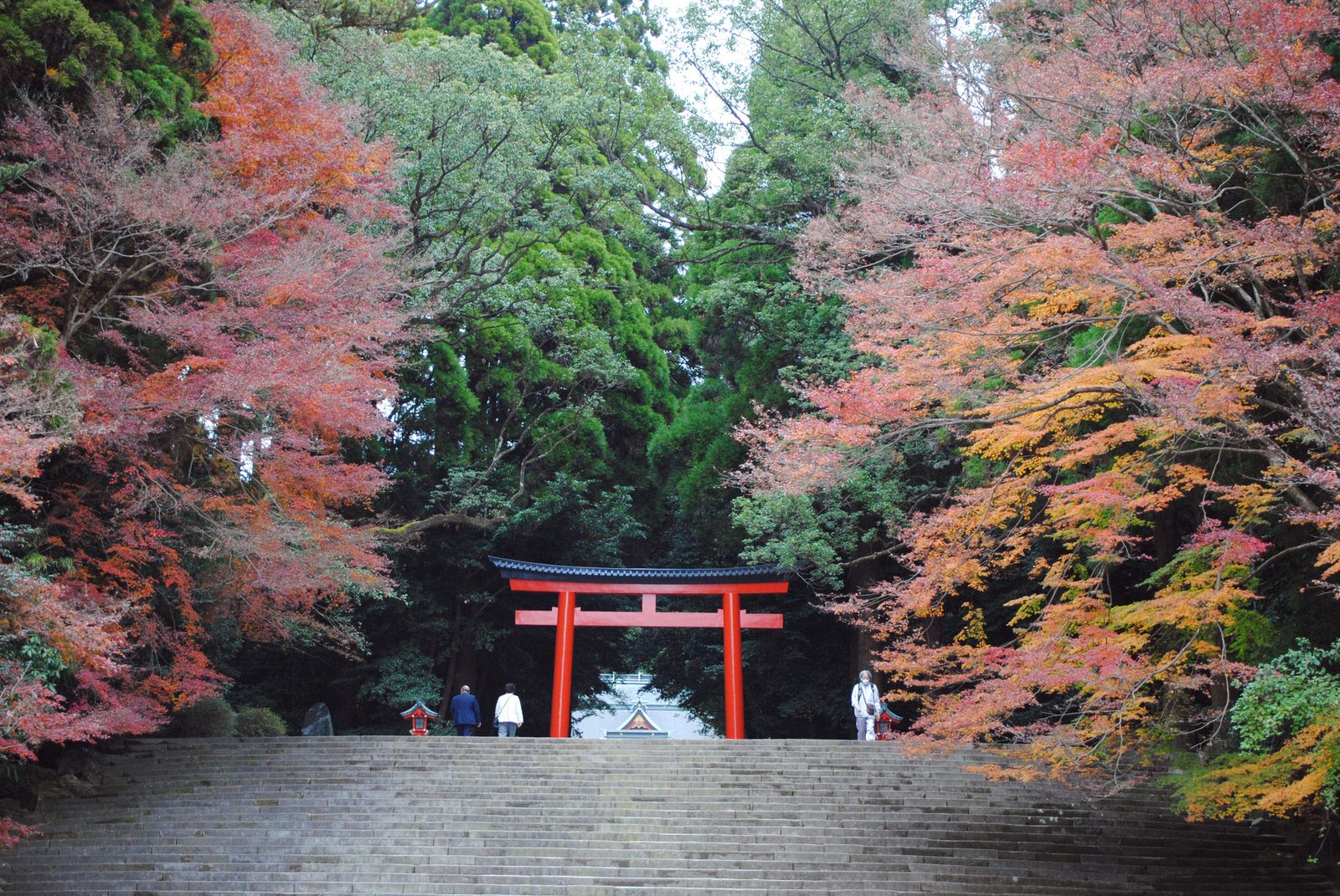 A red torii gate at the top of a wide stone stairway, framed by trees with red and orange autumn leaves and dark green cedars, with a few people walking.