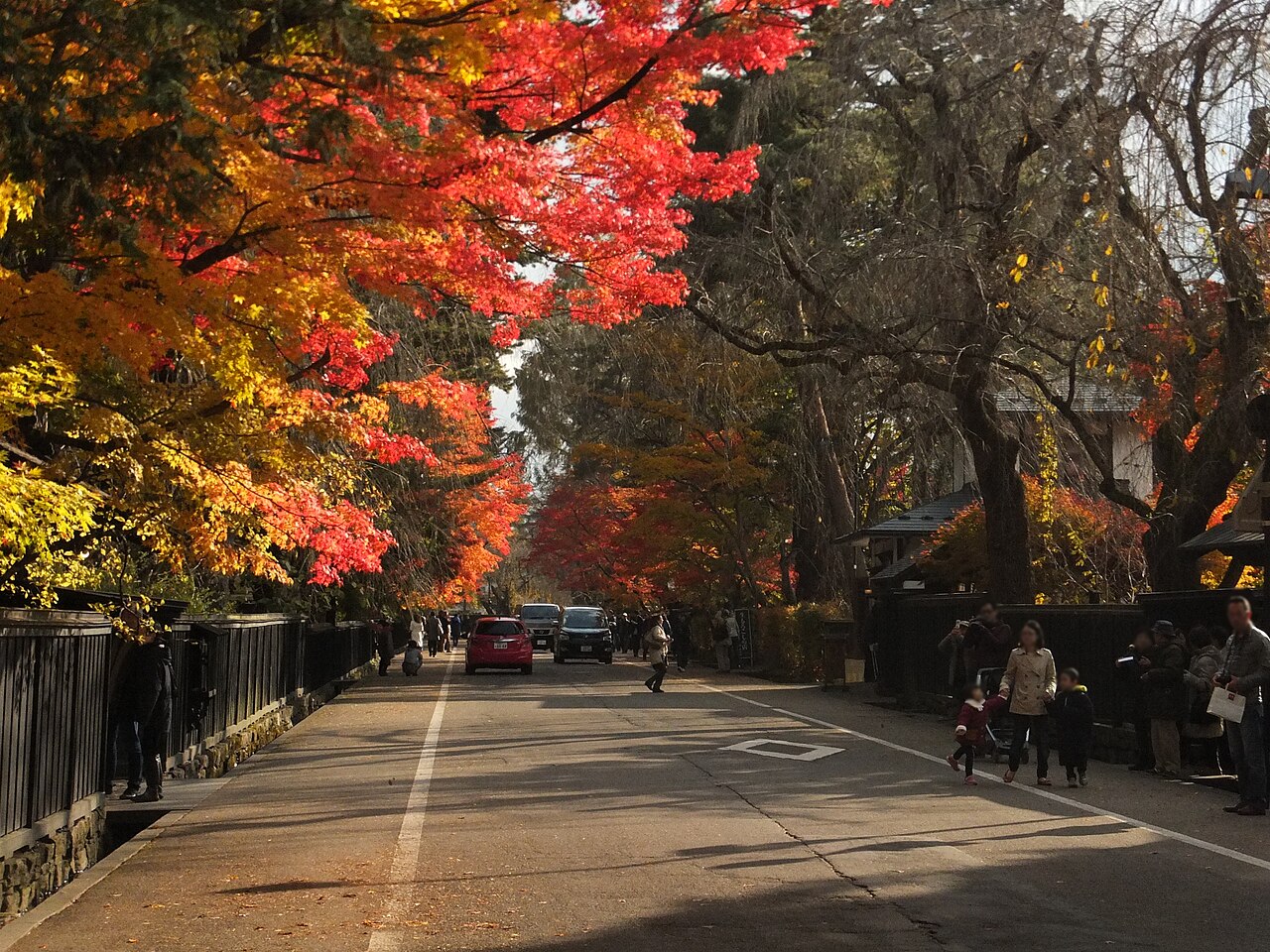 Wooden fences and tall trees edge the wide samurai-district street at Kakunodate, with autumn maples overhead.