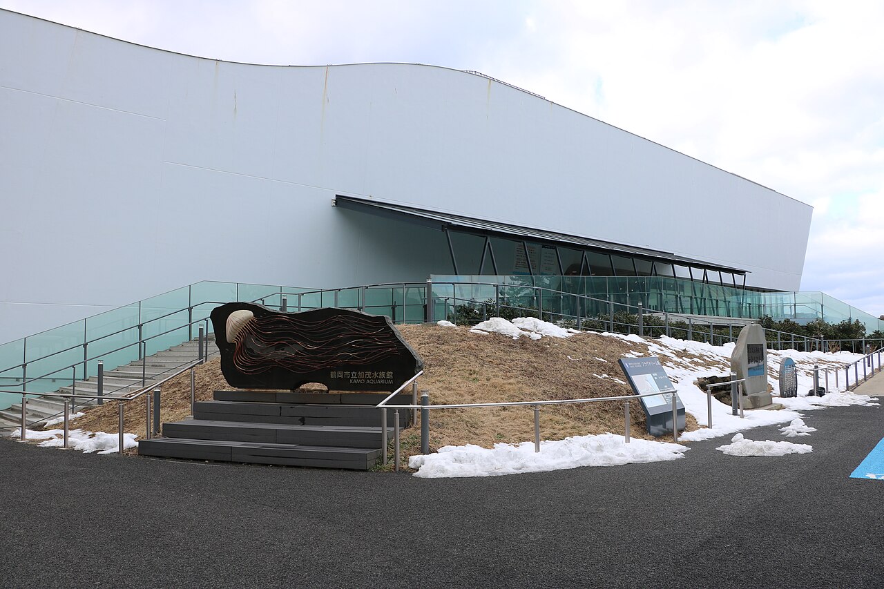 The curved white building of Kamo Aquarium beside a snowy slope on the Shonai coast