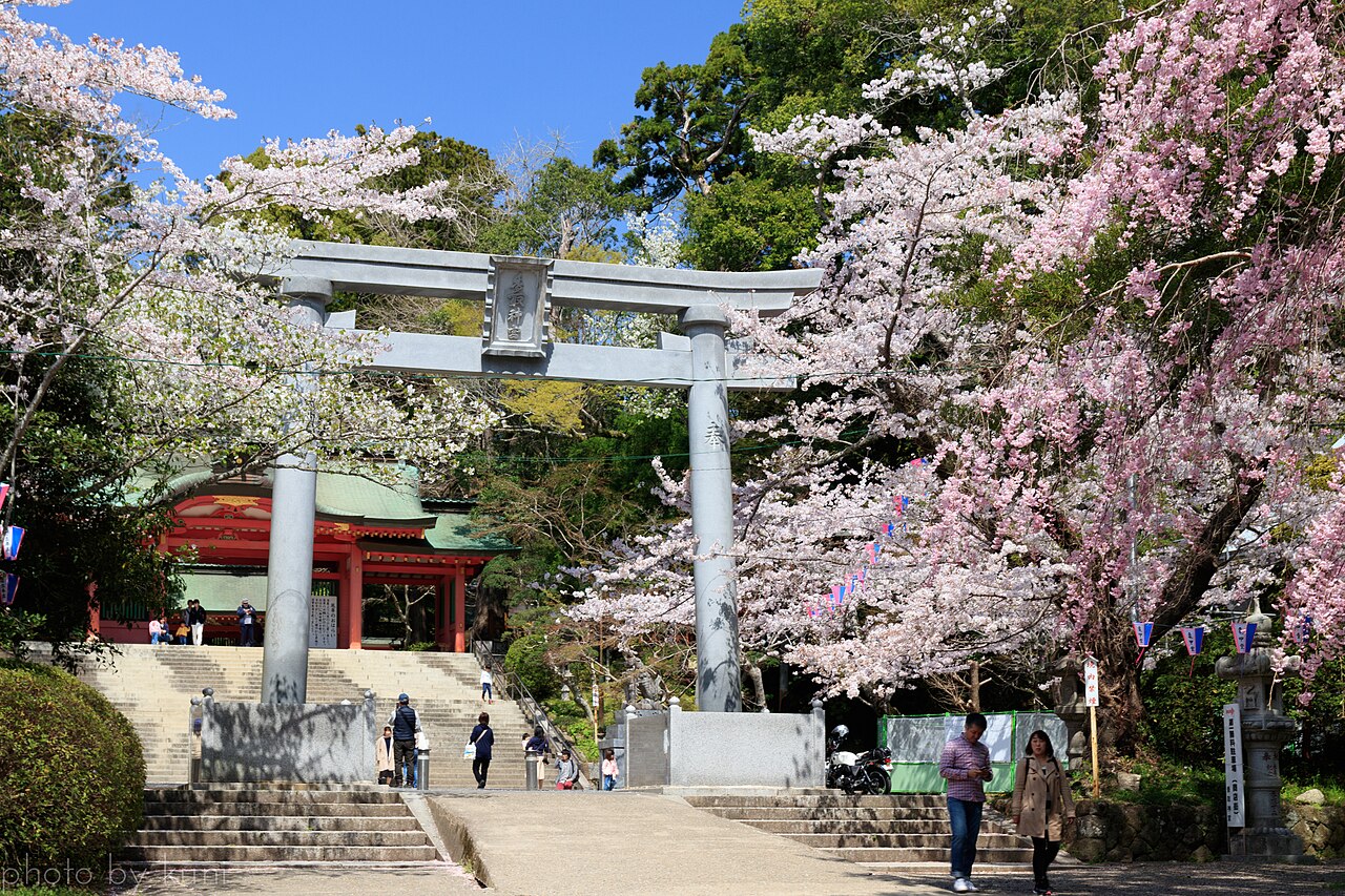 A stone torii gate at Katori Jingu framed by cherry blossoms in full bloom, with visitors climbing the stone steps toward the shrine's vermilion romon gate.