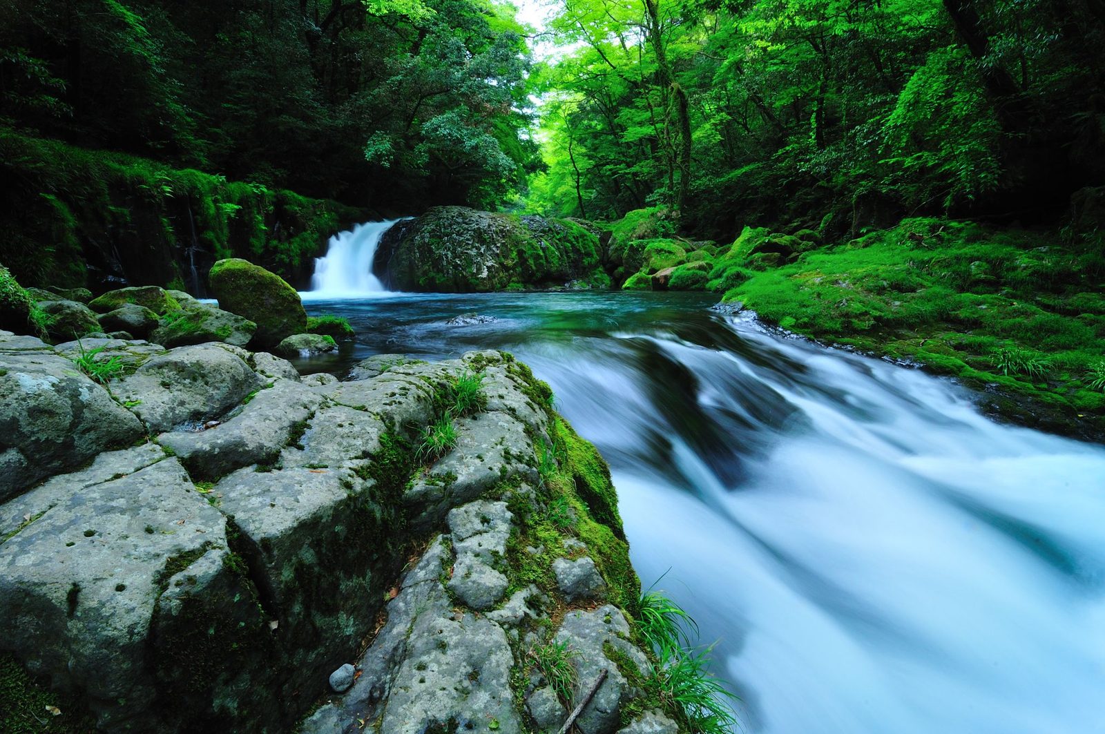 A clear stream tumbles over a low rock ledge into a green pool in a forested gorge, with moss-covered boulders in the foreground and a small waterfall in the background.