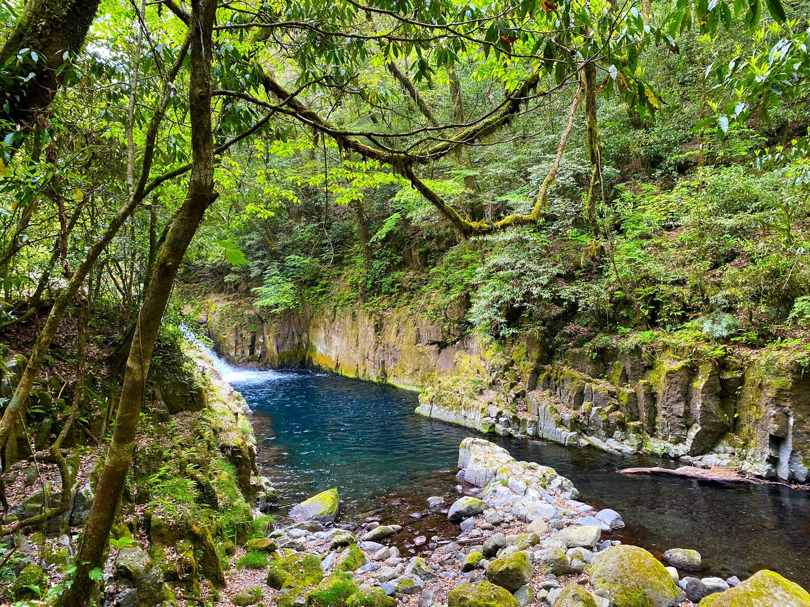 A clear blue pool lies at the foot of a mossy rock cliff in a wooded gorge, with a small cascade at the far end and pebbles along the near bank.