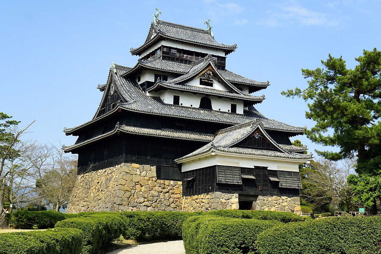 The black wooden keep of Matsue Castle standing on its rough stone base, with clipped hedges and pines in the foreground under a clear sky.