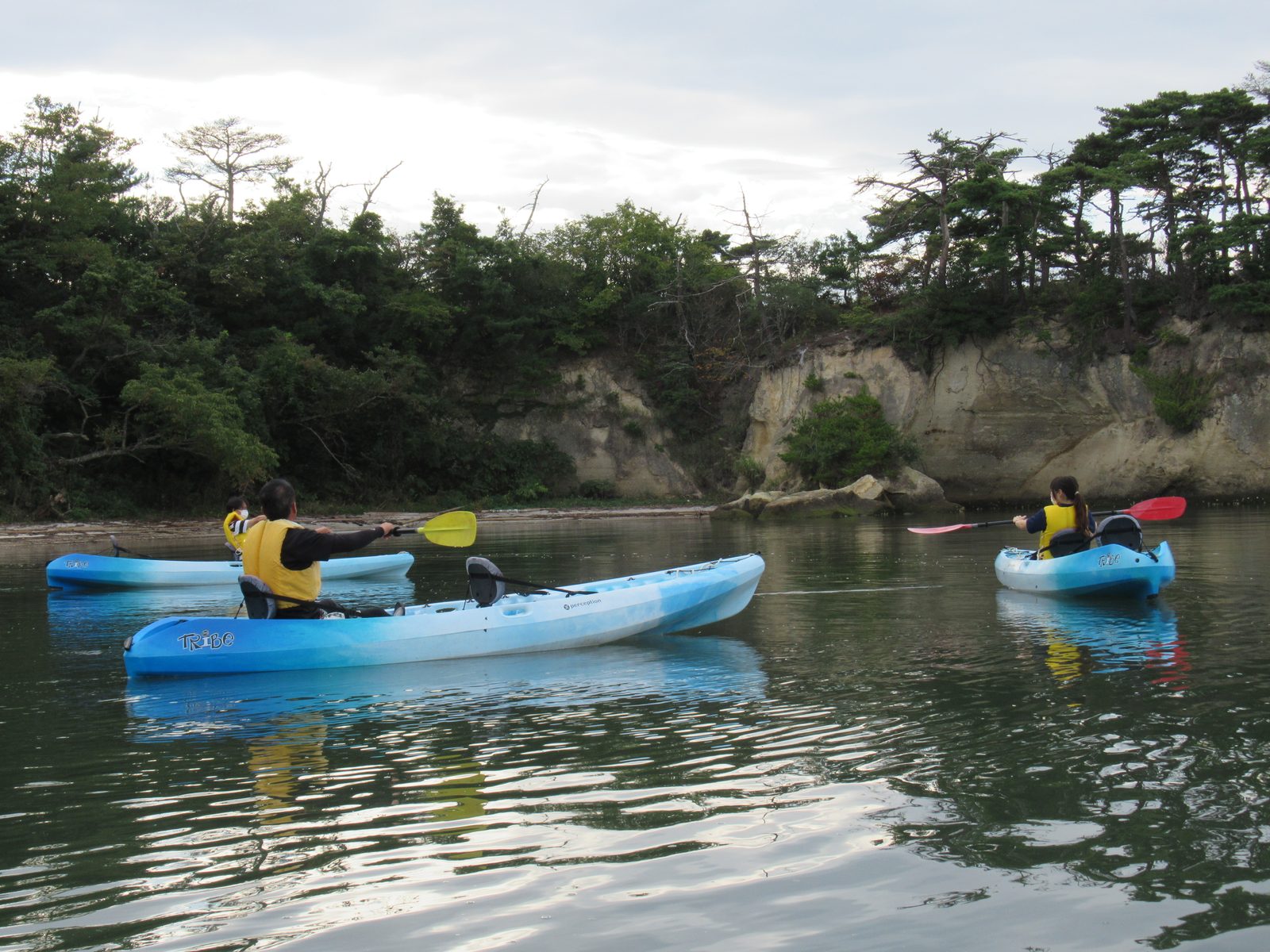 Sea kayakers paddling past a pine-topped rocky shore in the calm waters around the Urato Islands