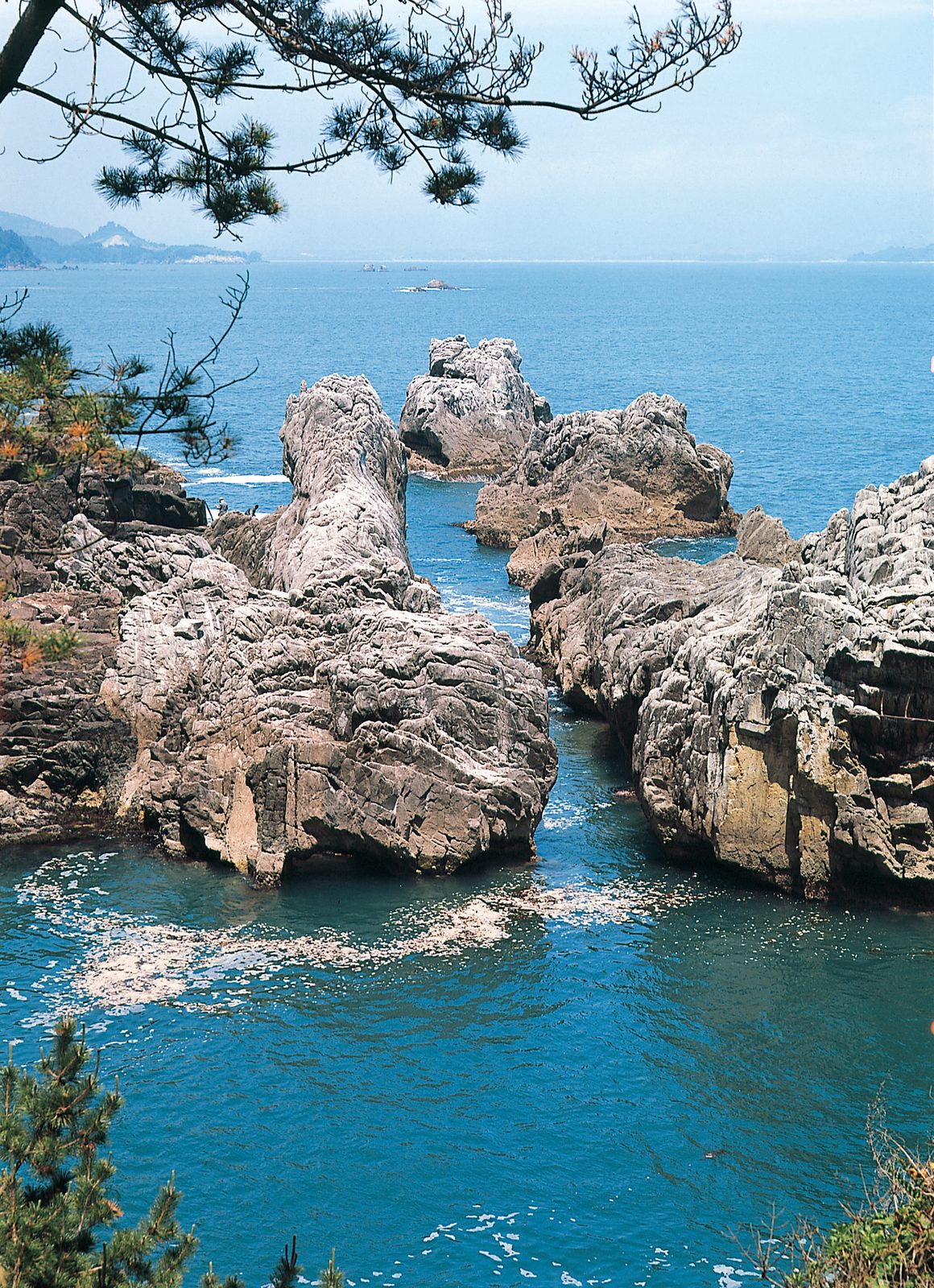 Weathered grey rock outcrops of the Karakuwa Peninsula coast rising from blue-green water, framed by pine branches with the open sea behind