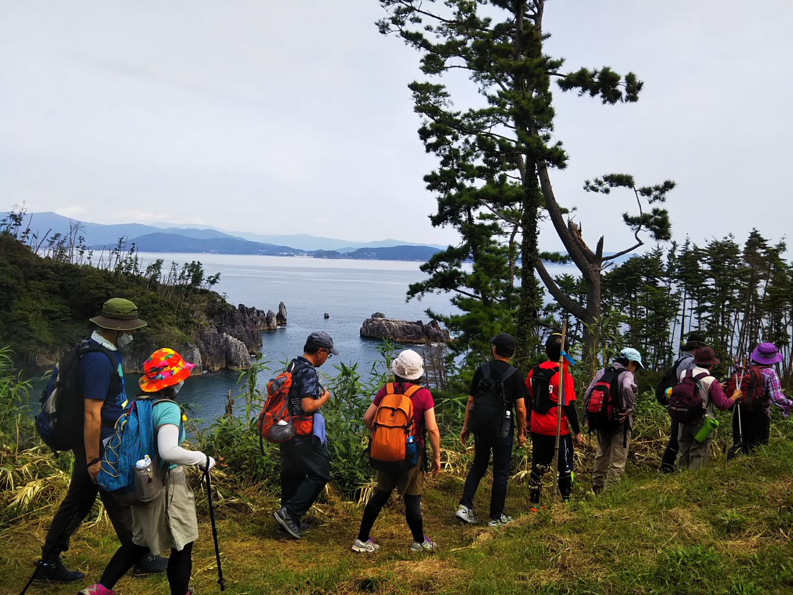 A group of hikers seen from behind on a grassy ridge among pines, looking out over a rocky inlet of the Karakuwa Peninsula coast