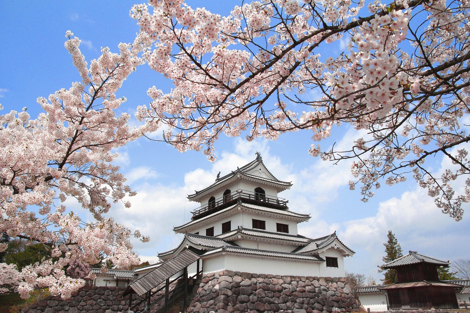 The white keep of Shiroishi Castle on its stone base, framed by cherry blossom branches under a blue sky.