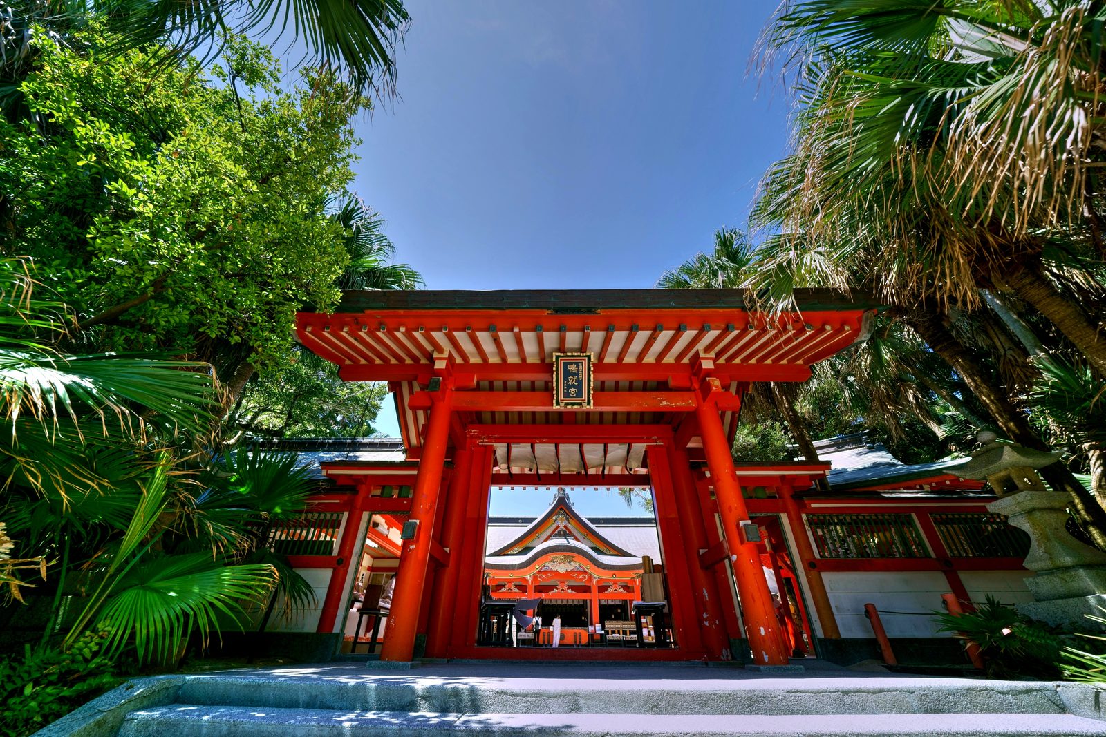 Vermilion gate of Aoshima Shrine framed by fan palms, with the main hall visible through the opening