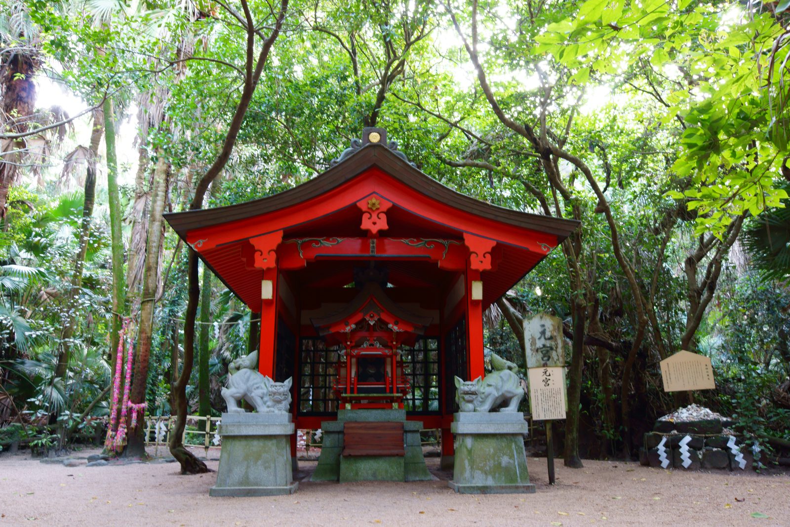 Small vermilion inner shrine with stone guardian lion-dogs, surrounded by dense subtropical forest