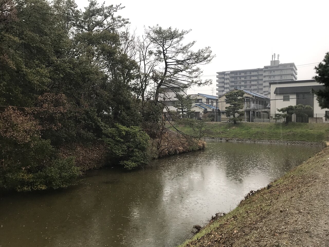 A tree-covered burial mound rising over its water-filled moat in Sakai, with houses and apartment blocks on the far bank under a gray sky