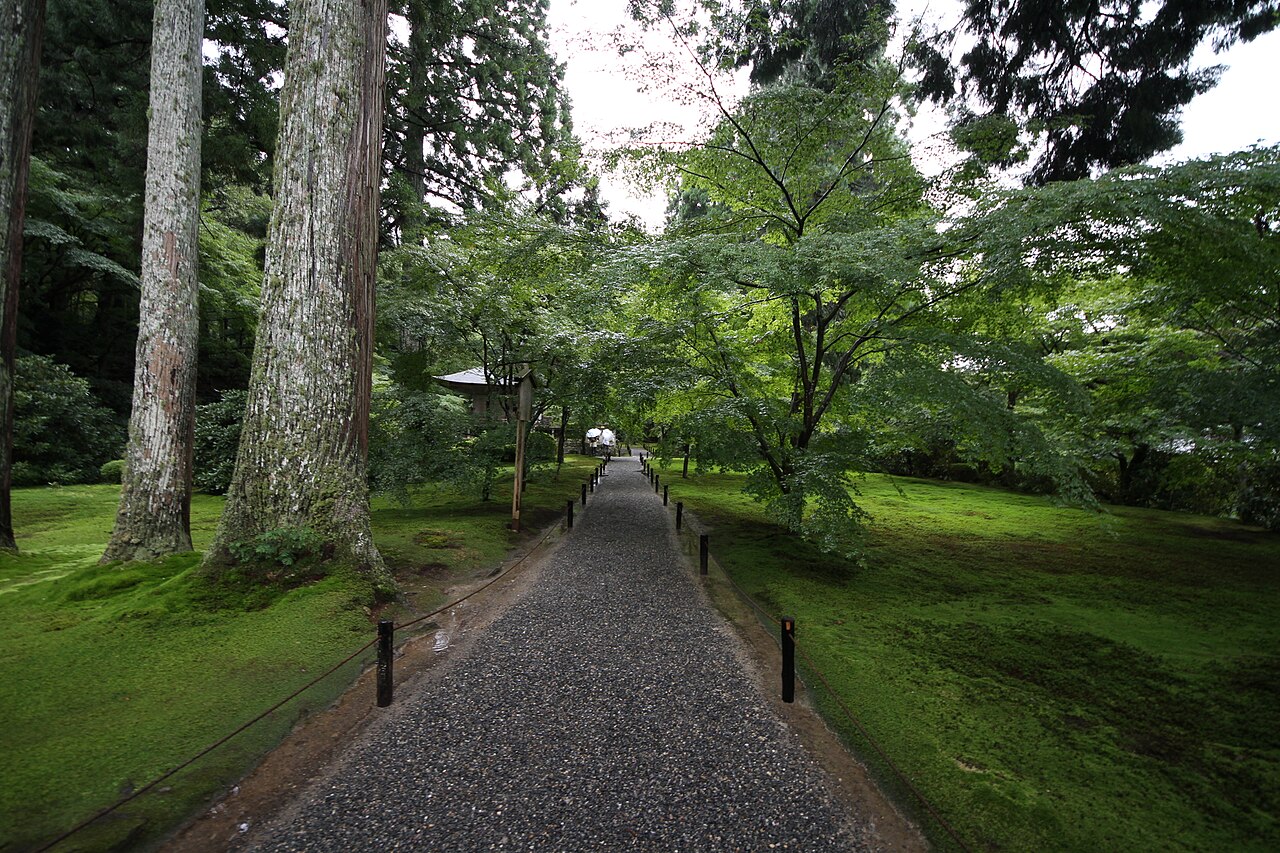 A moss-edged path through cedar trees in Ohara