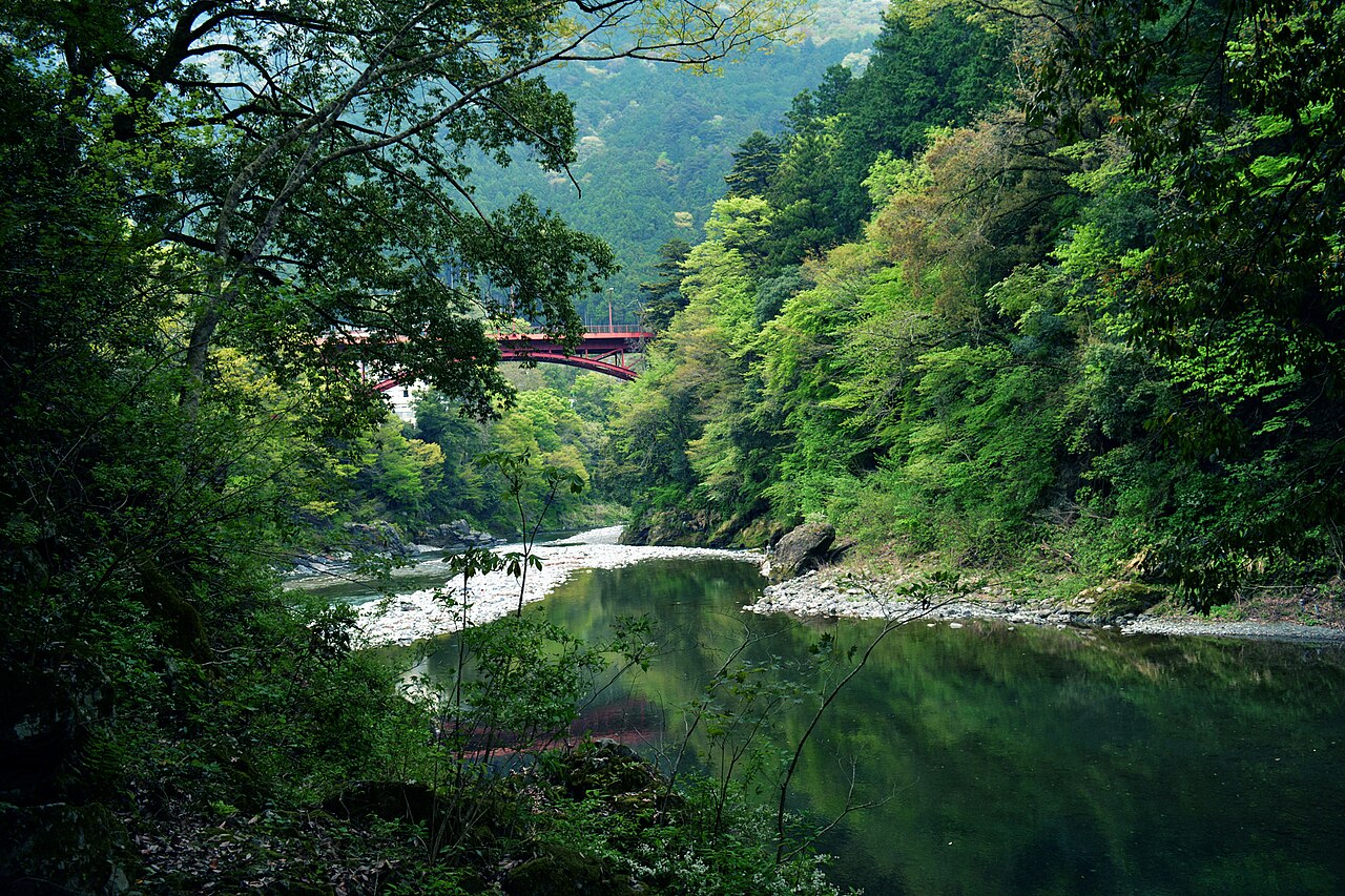 A green river gorge near Okutama seen through trees, with a red arch bridge crossing high above the still water.