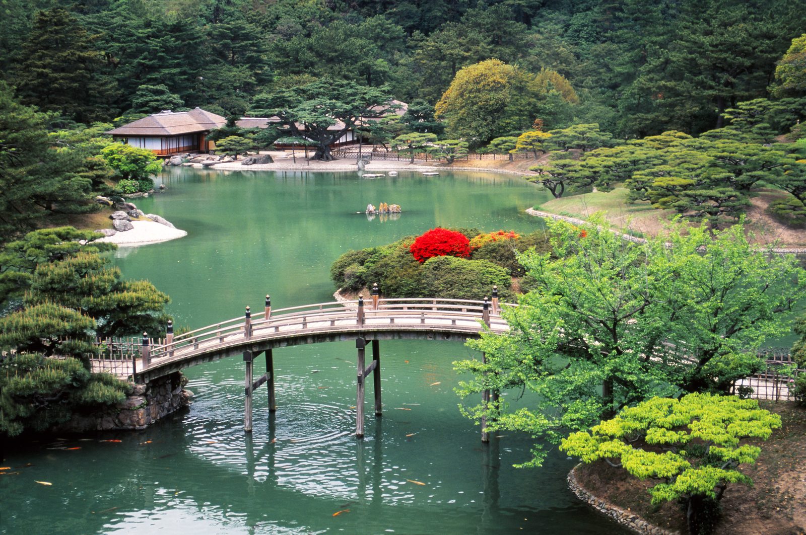 An arched wooden bridge over the green pond at Ritsurin Garden, with a thatched-roof pavilion among pines across the water