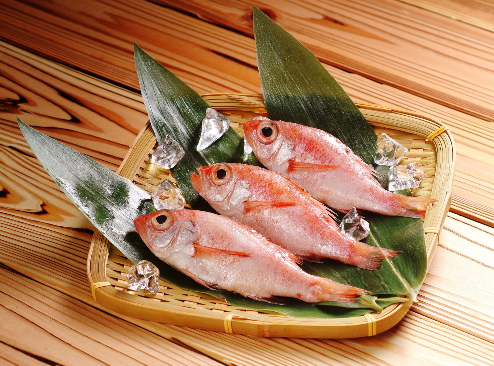 Three whole red-pink nodoguro fish laid on bamboo leaves and ice in a woven bamboo tray