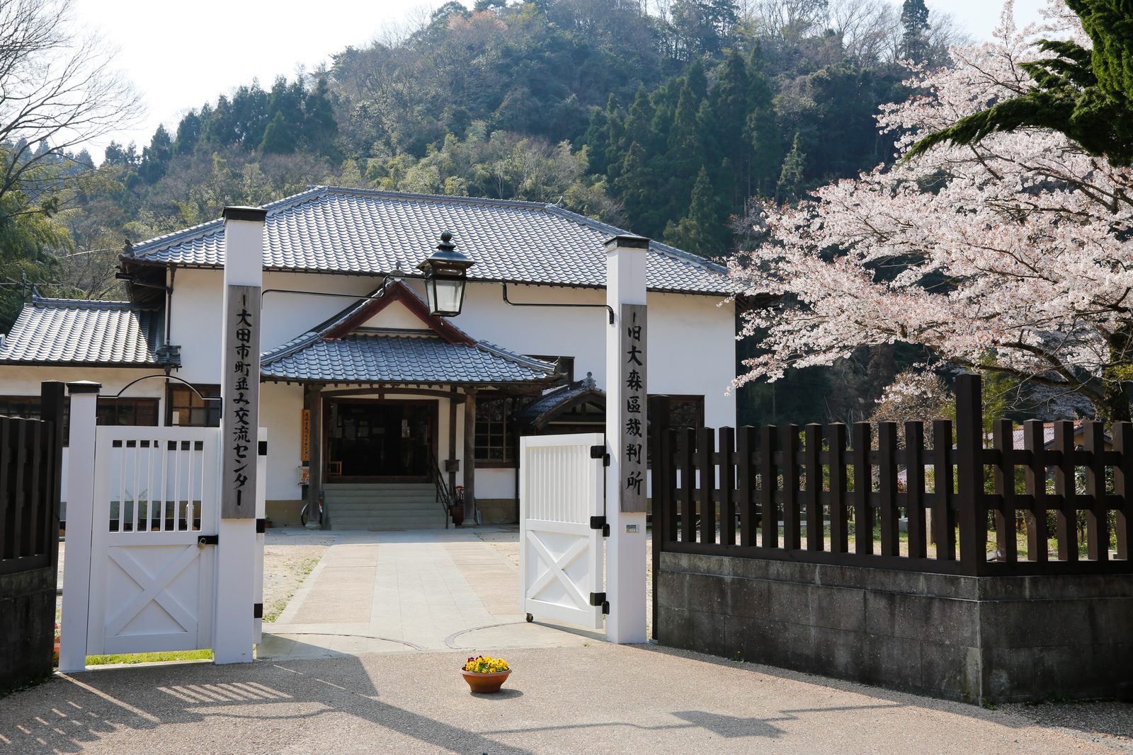 The former Omori district court building seen through its white gate, with cherry blossoms beside it
