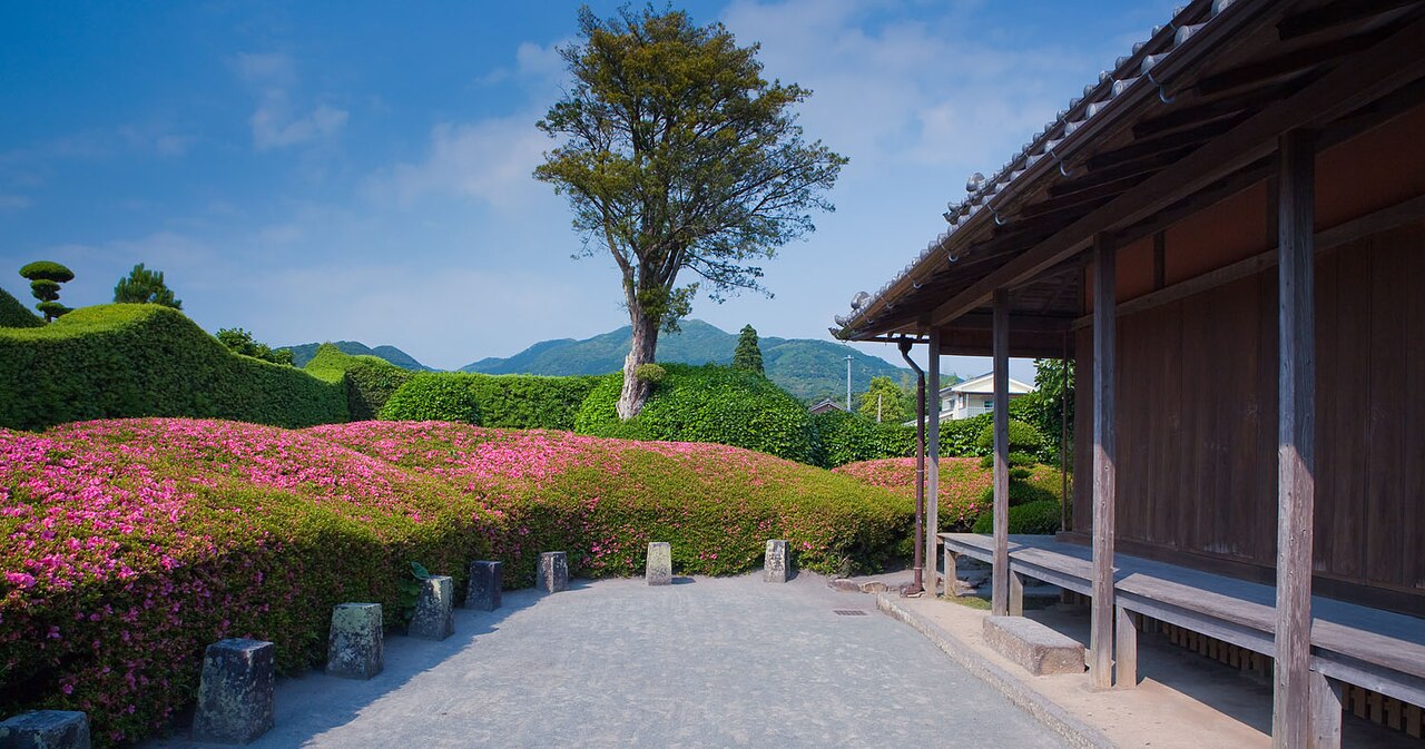 A blooming pink azalea hedge along a wooden veranda with a tall tree and green hills behind, at a Chiran samurai residence.