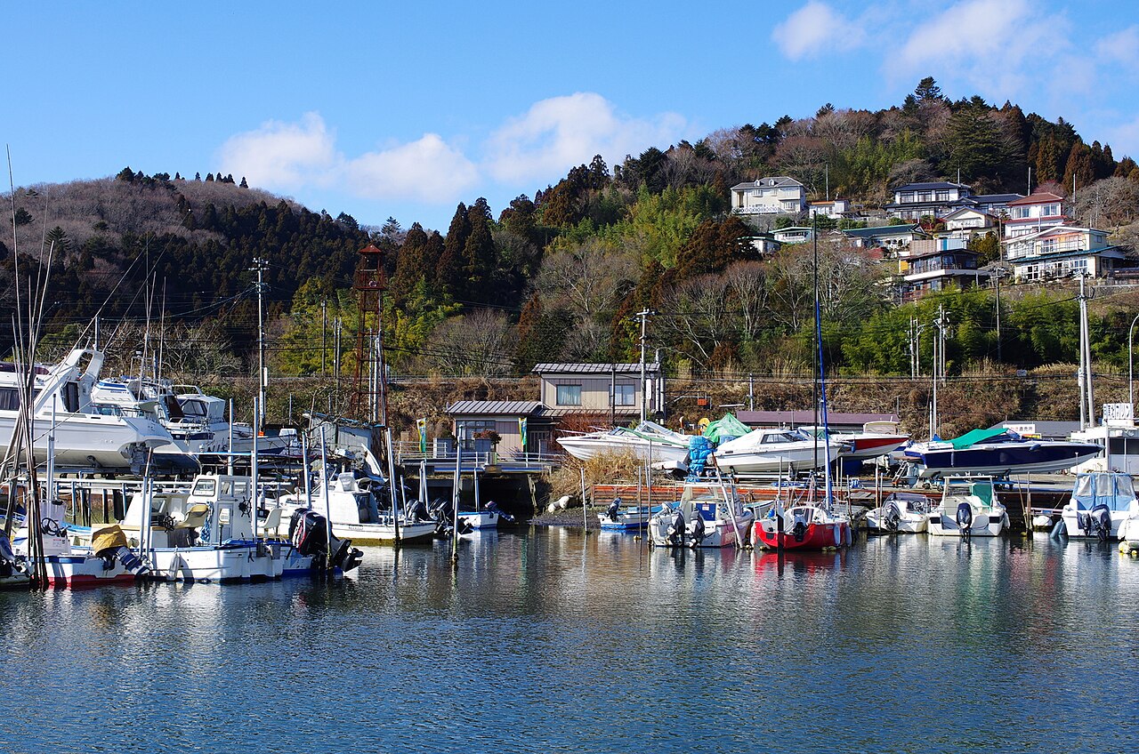 Small harbor with moored boats and houses on the wooded hillside behind