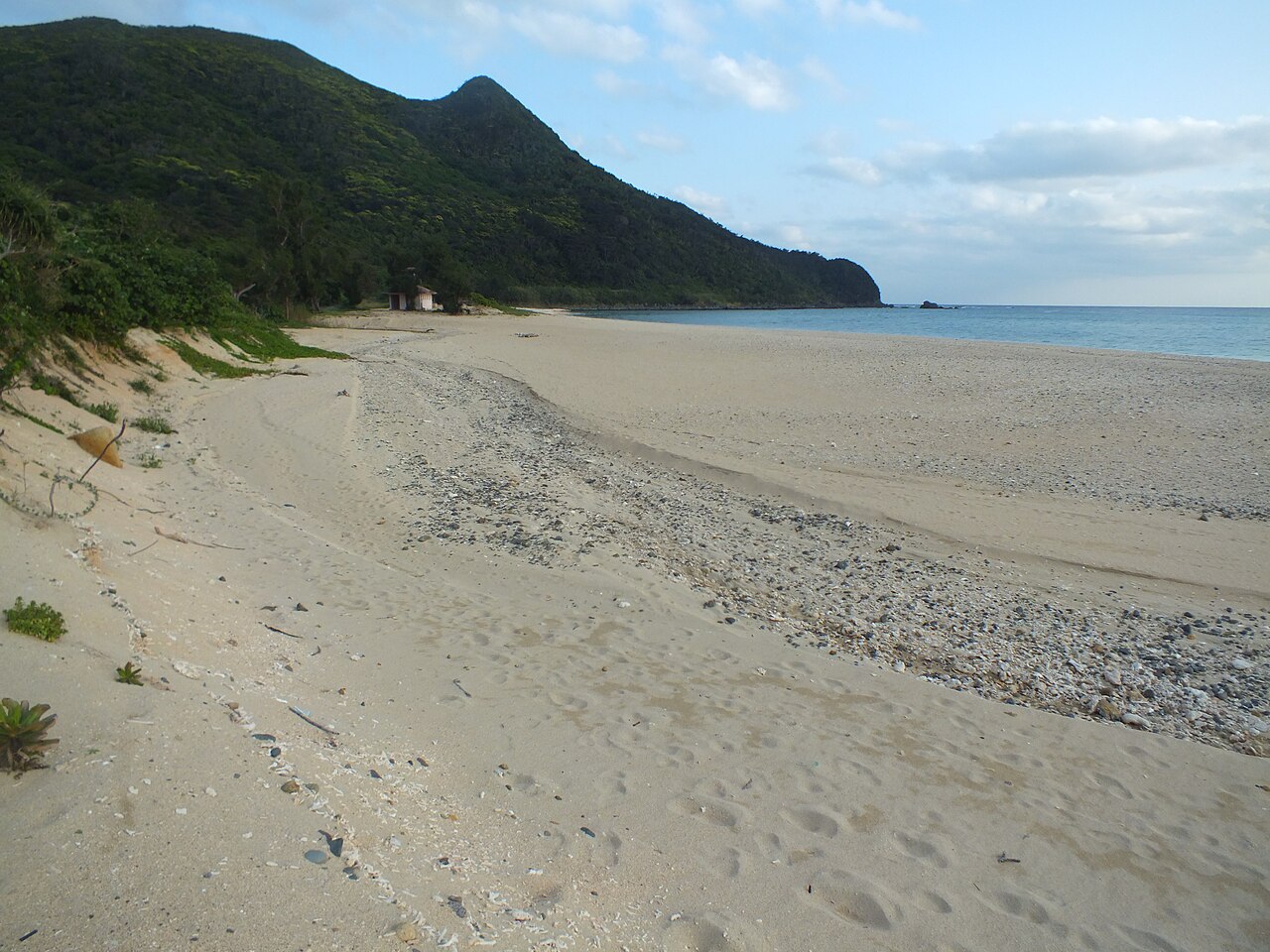 A wide, empty pale-sand beach curving toward a green headland under a soft grey-blue sky.