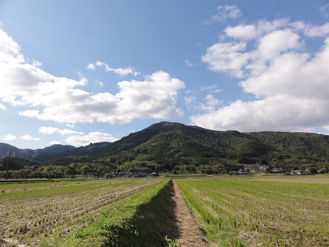 A wide flat paddy field with a straight grass ridge leading toward a small hamlet at the foot of a forested mountain under a blue sky with big white clouds
