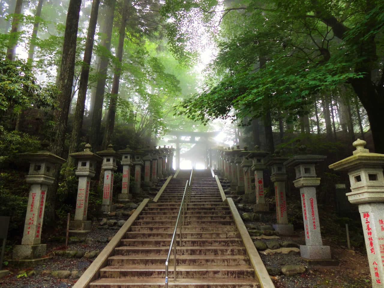 A stone stairway climbing through a cedar forest toward Mitsumine Shrine in the mountains above Chichibu.