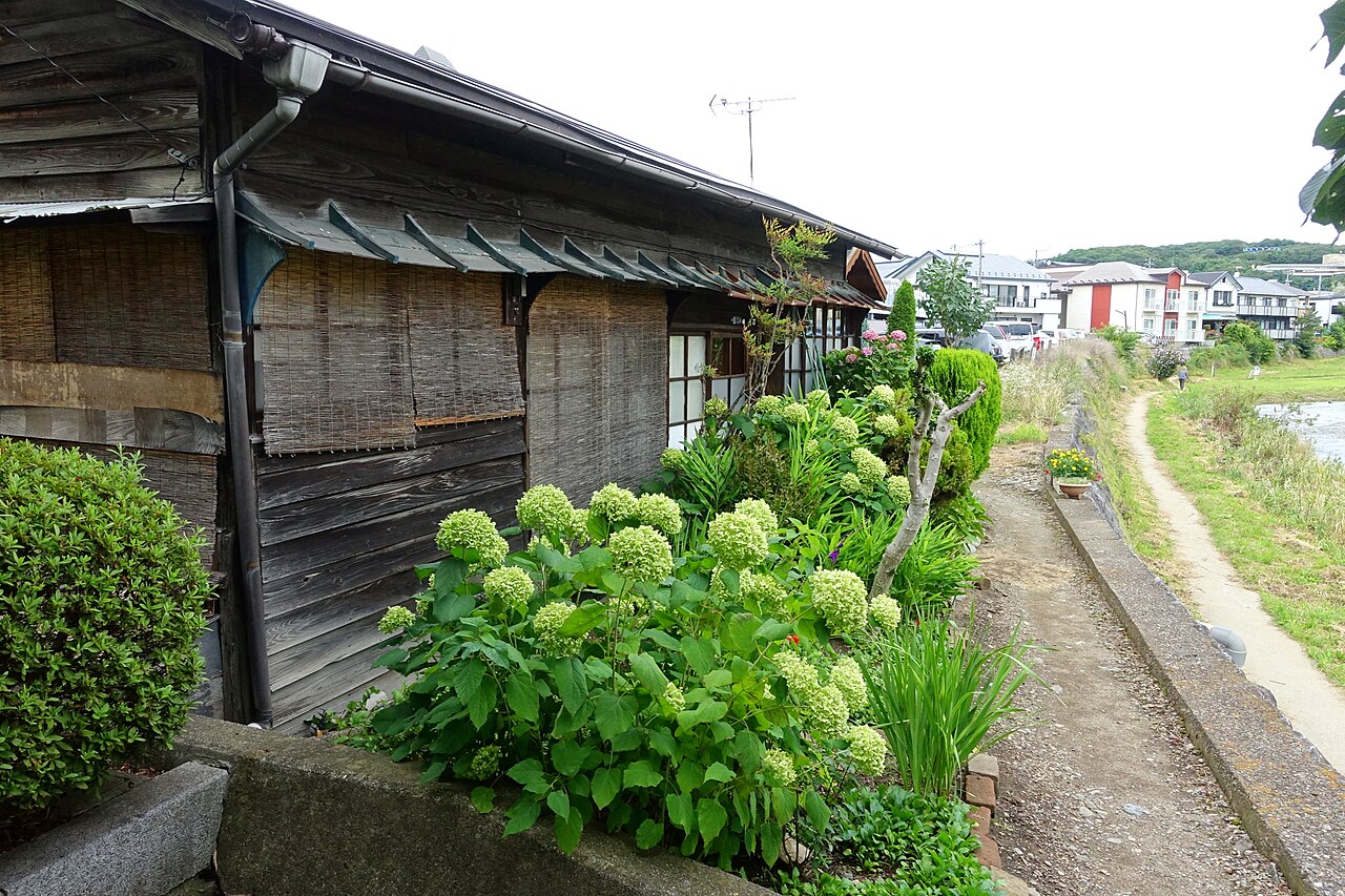 A weathered old wooden house beside the Nakatsu River in Morioka, with hydrangeas along the path in front.
