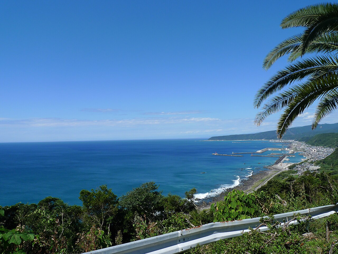 Looking down from a hillside over the deep blue Pacific and the harbour and houses of a Muroto coastal town, with a palm frond at the right edge