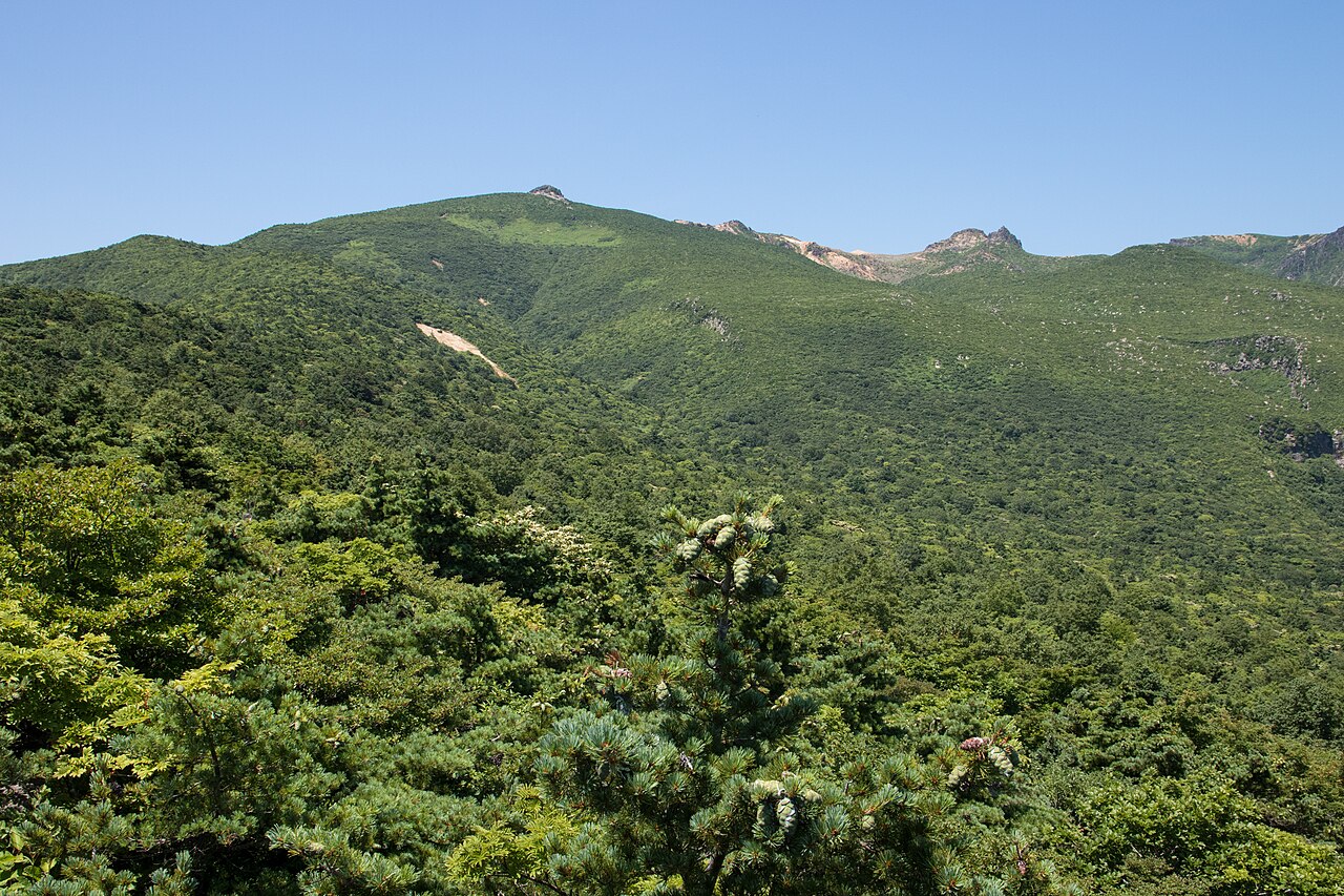 A deep-green mountain ridge with rocky summits rising above forested slopes under a clear blue sky