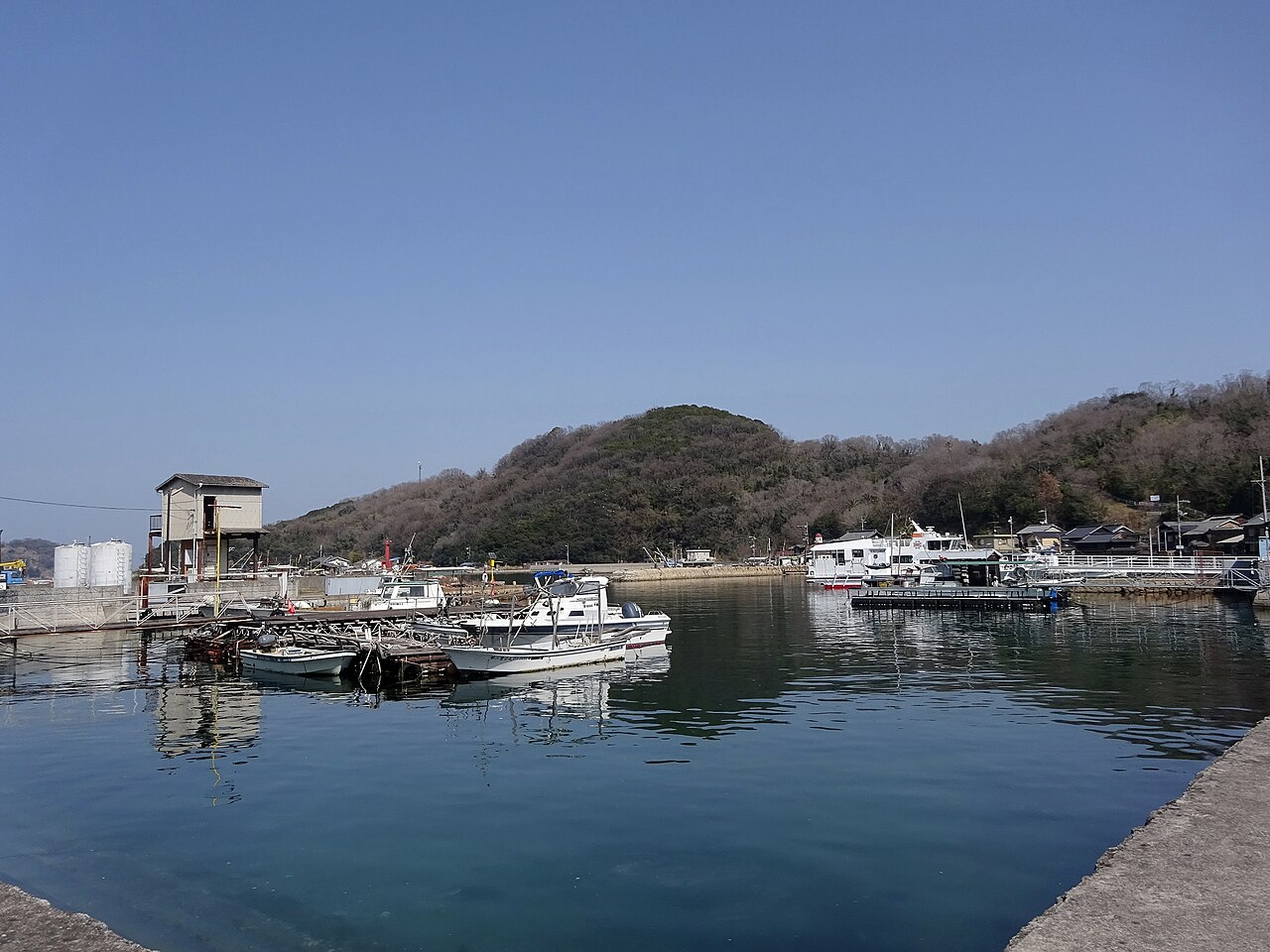 A calm blue harbour with small fishing boats moored at floating docks, a white passenger boat and a few houses along the quay, and a rounded wooded hill under a clear blue sky.