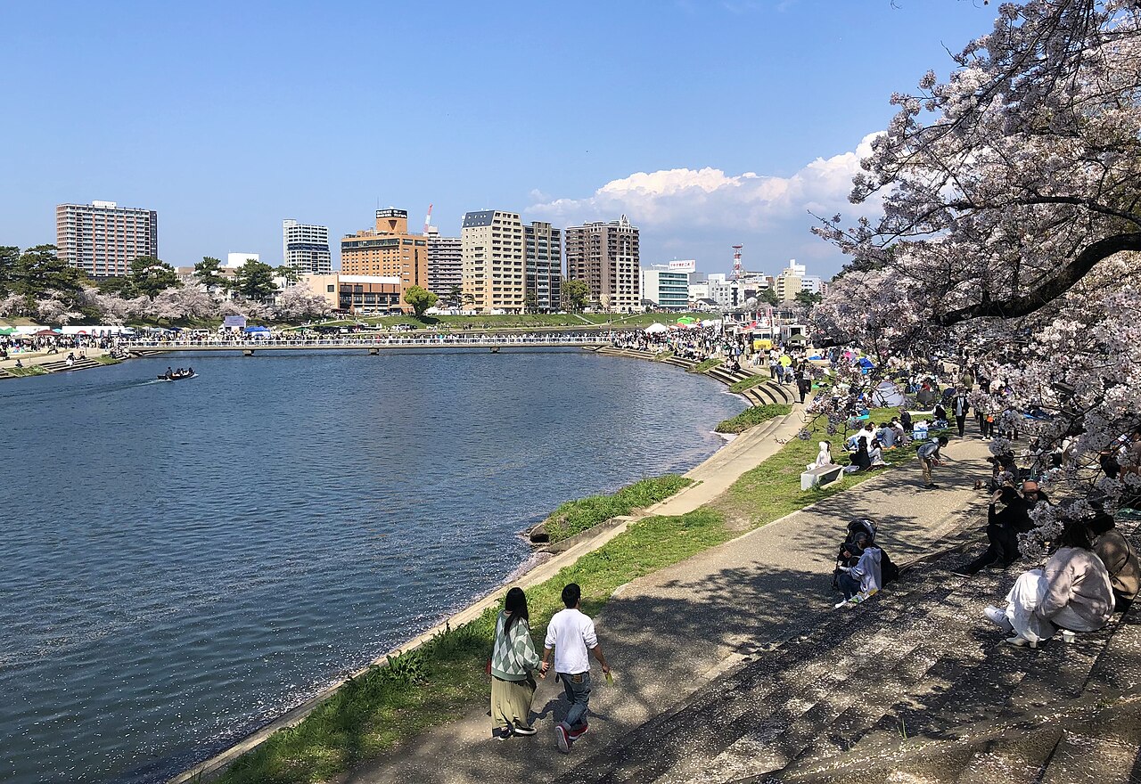A curved river with a riverside path, cherry trees in bloom on the right and a row of mid-rise buildings along the far bank under a blue sky