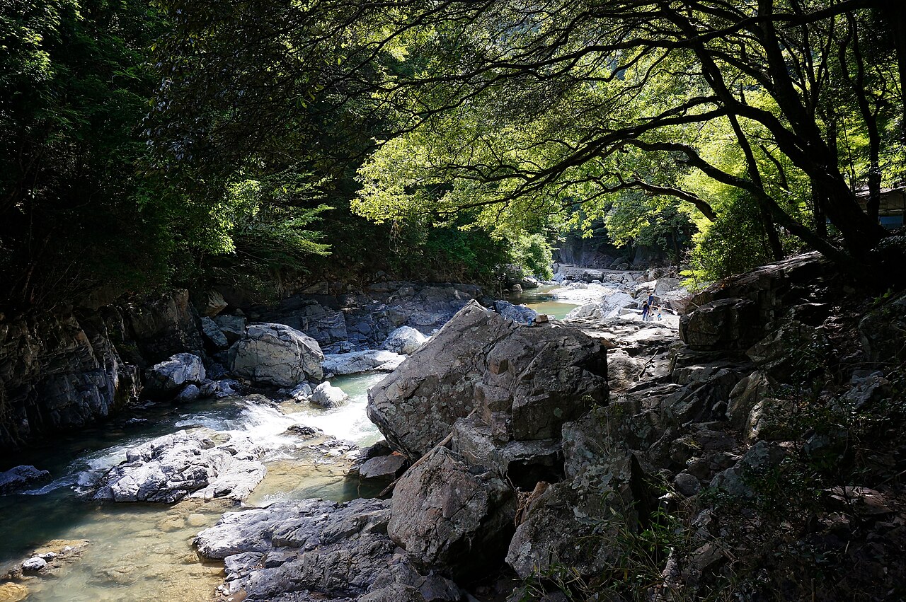 A clear stream running over pale rounded boulders at the bottom of a narrow wooded gorge, with sunlit green leaves hanging from overhead branches and deep shade on both banks.