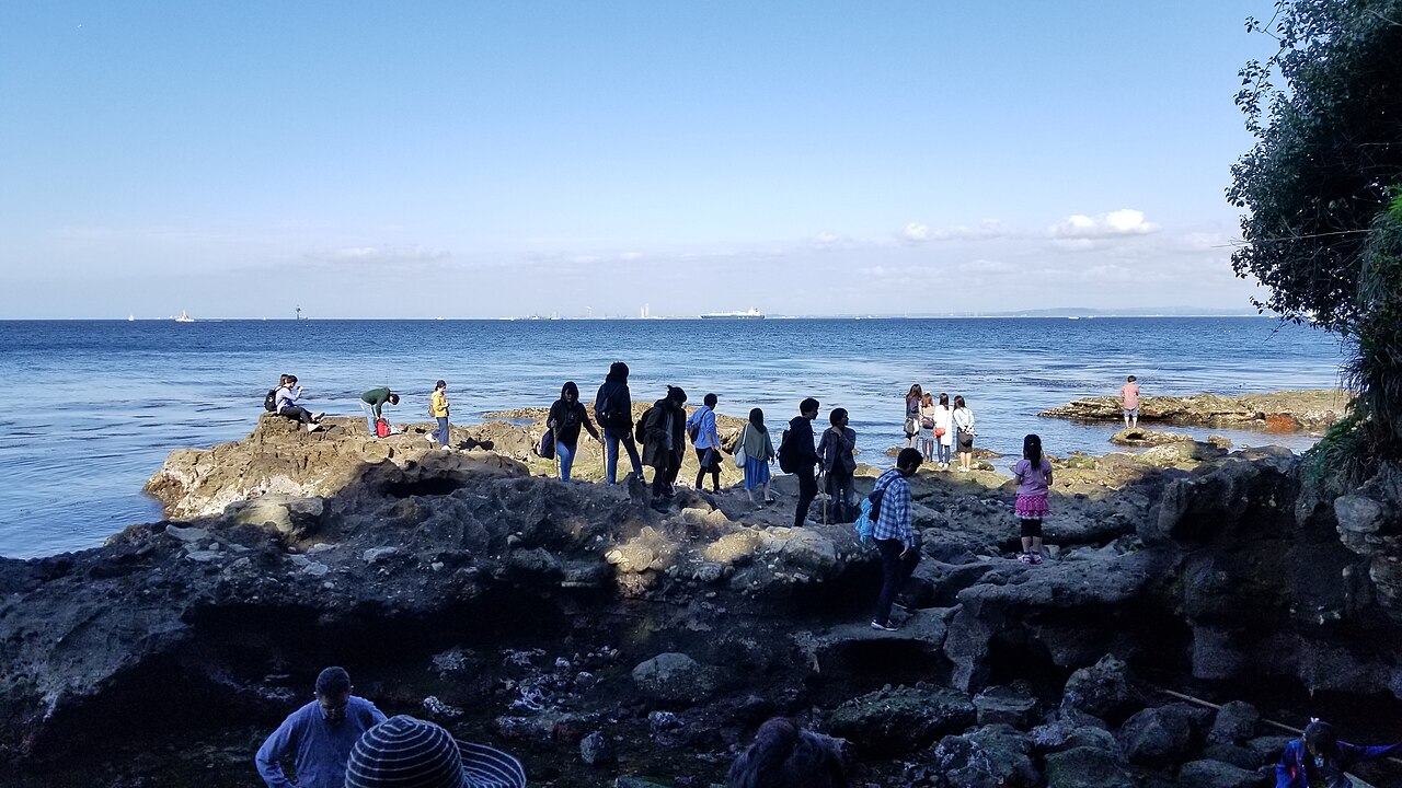 Visitors on the dark rocky shore of Sarushima's northern cove looking out over the blue sea of Tokyo Bay