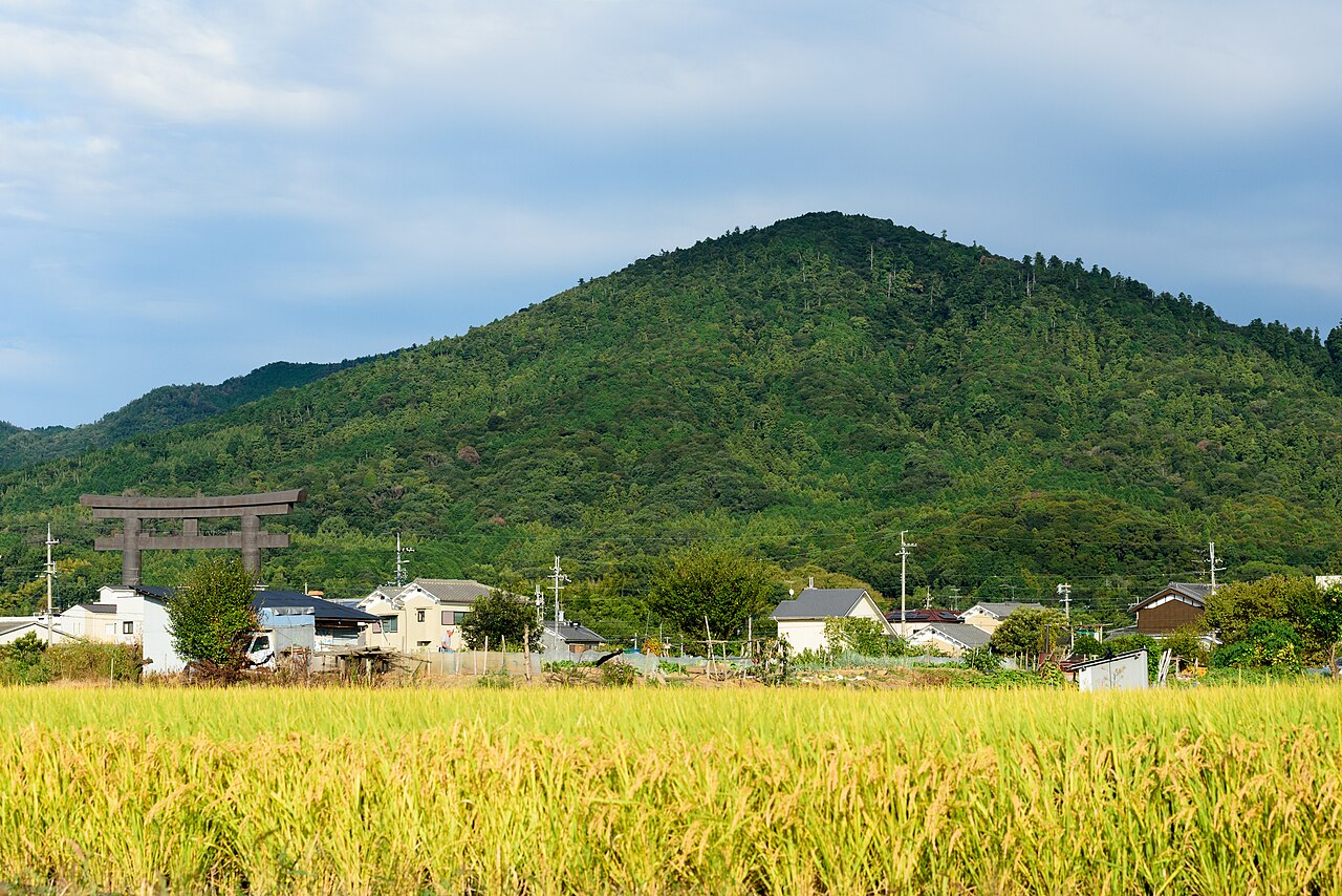 A great wooden torii gate stands at the foot of a forested hill beside village rooftops, with golden rice ripening in the field in front