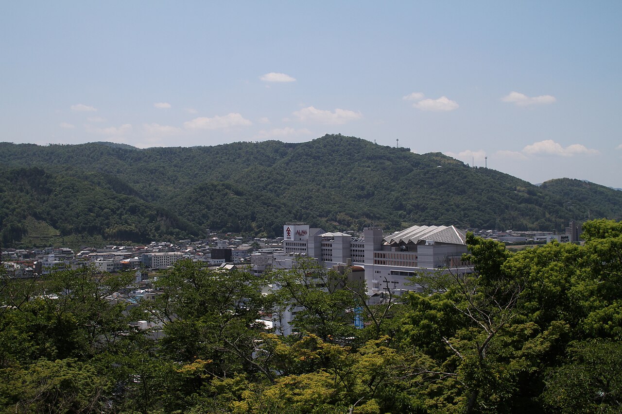 A hillside view over Tsuyama's town rooftops toward wooded mountains, seen from Kakuzan Park