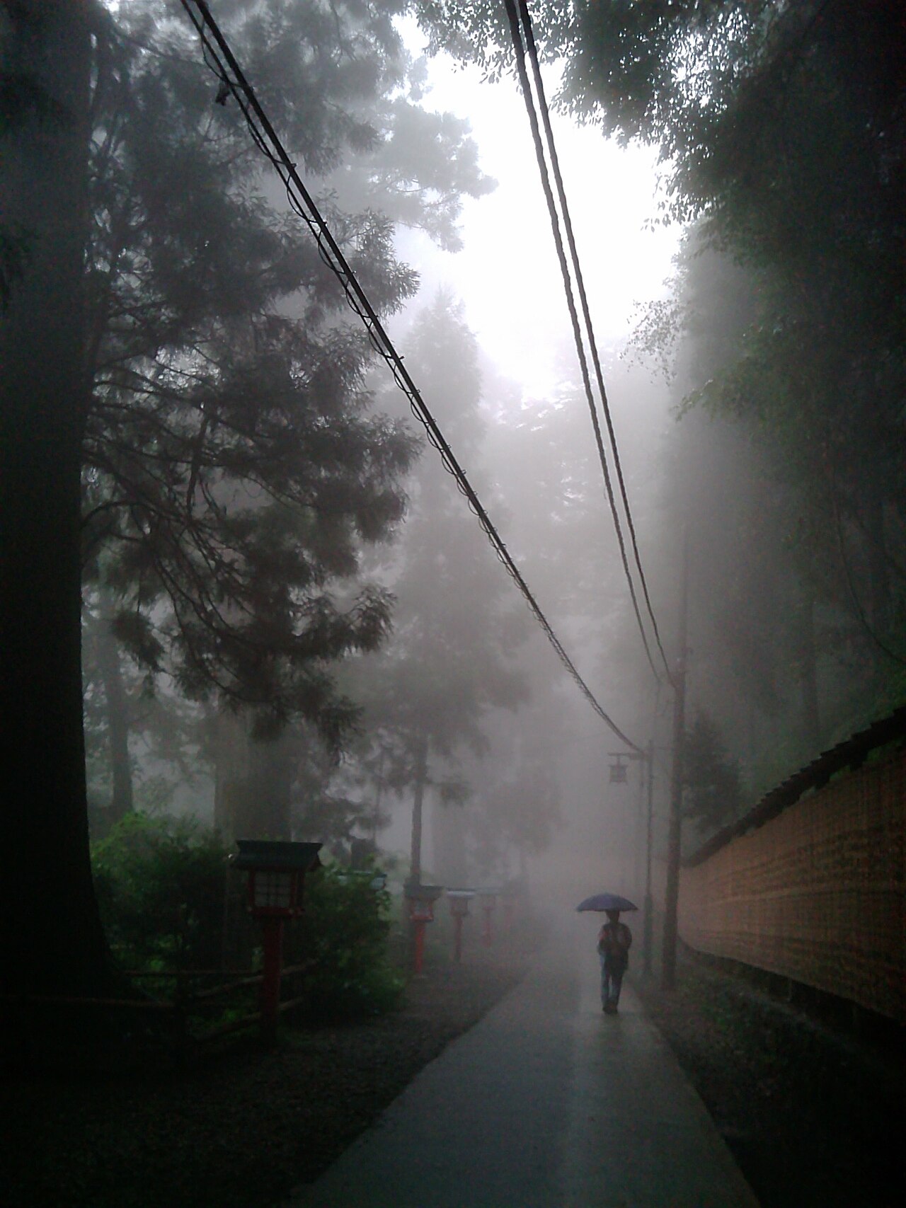 A stone-paved approach to Yakuoin temple on Mount Takao in fog, lined with cedar trees and stone lanterns.