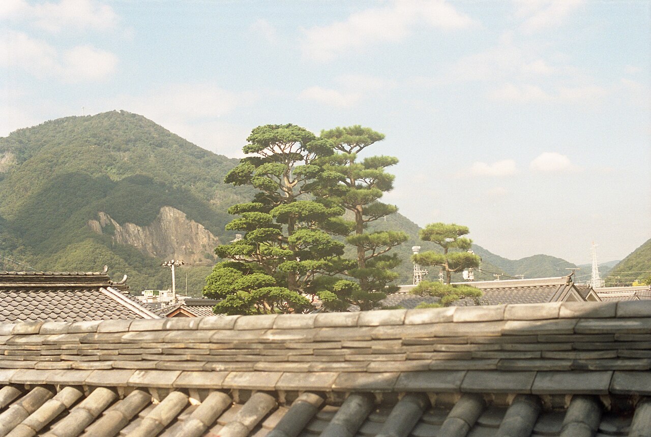 View across tiled rooftops and pine trees in Takehara's Honmachi preservation district, with hills rising behind the old town