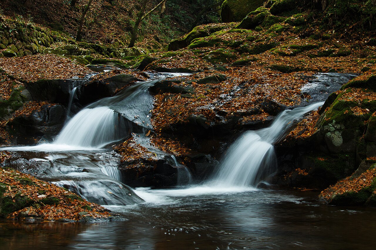 Two small cascades flowing over dark rocks into a still pool, with fallen autumn leaves covering the surrounding ground
