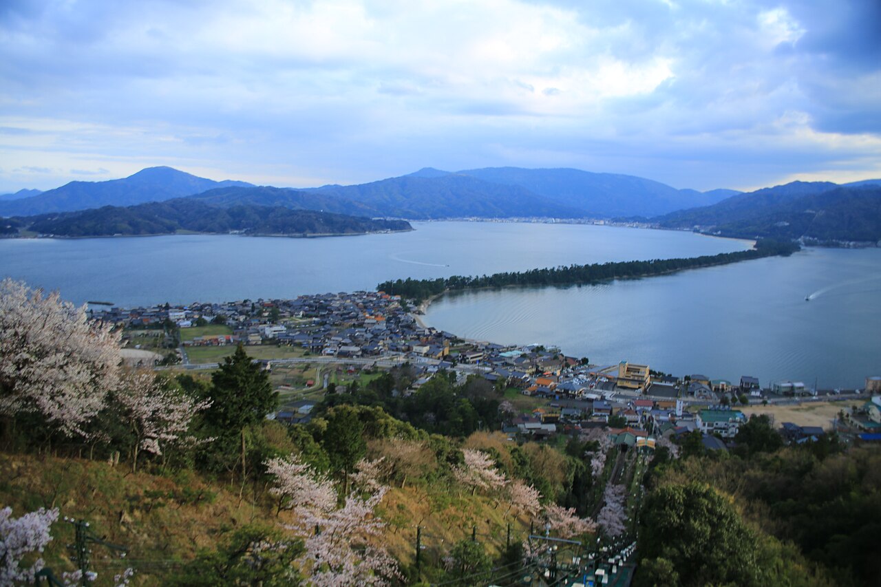 View of the Amanohashidate sandbar lined with pines stretching across Miyazu Bay, seen from the Kasamatsu Park side with cherry blossoms in the foreground